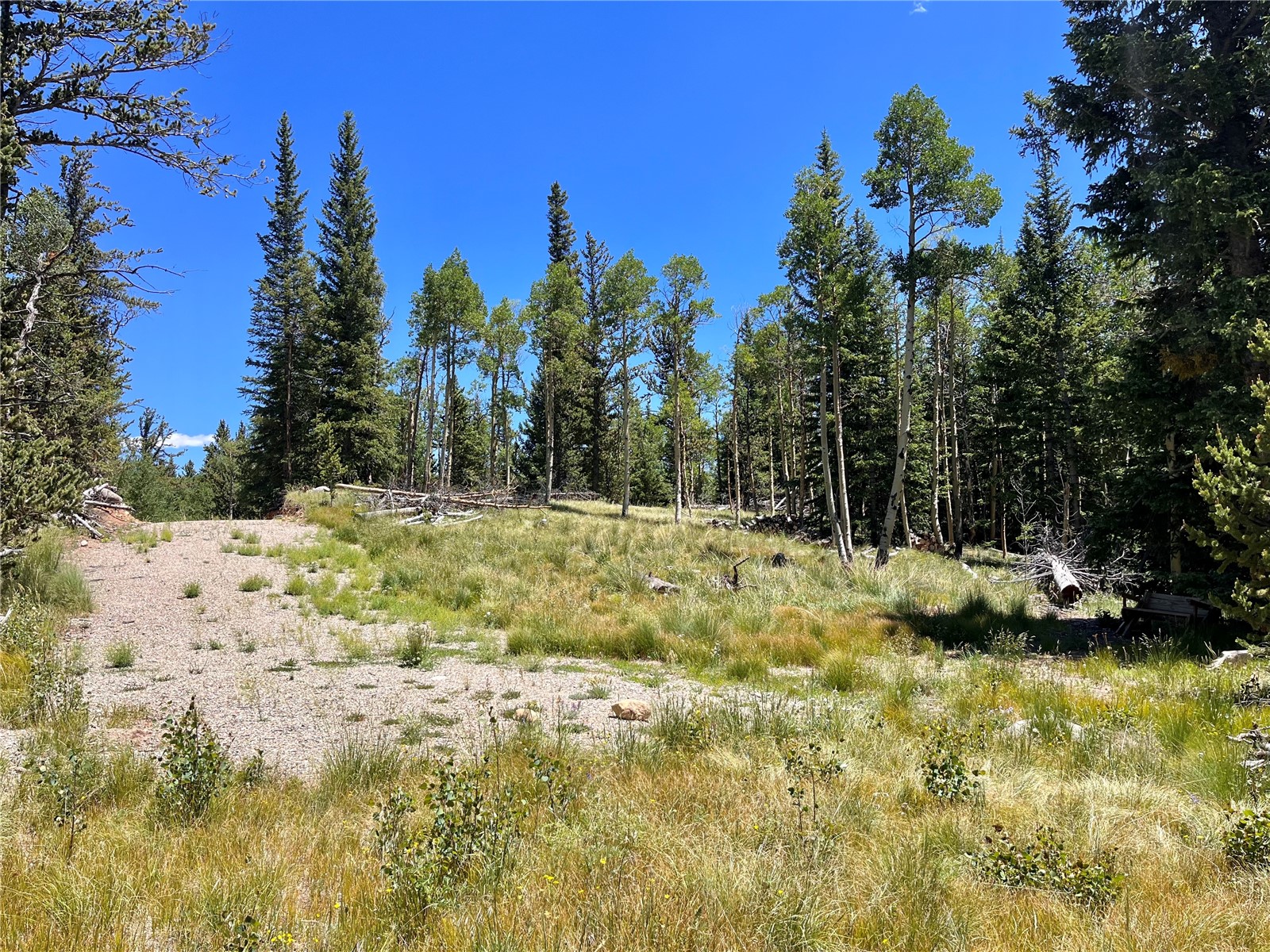 845 Adventure Road Alma, CO 80420 - Photo 21 of 31 Gallery Image 21