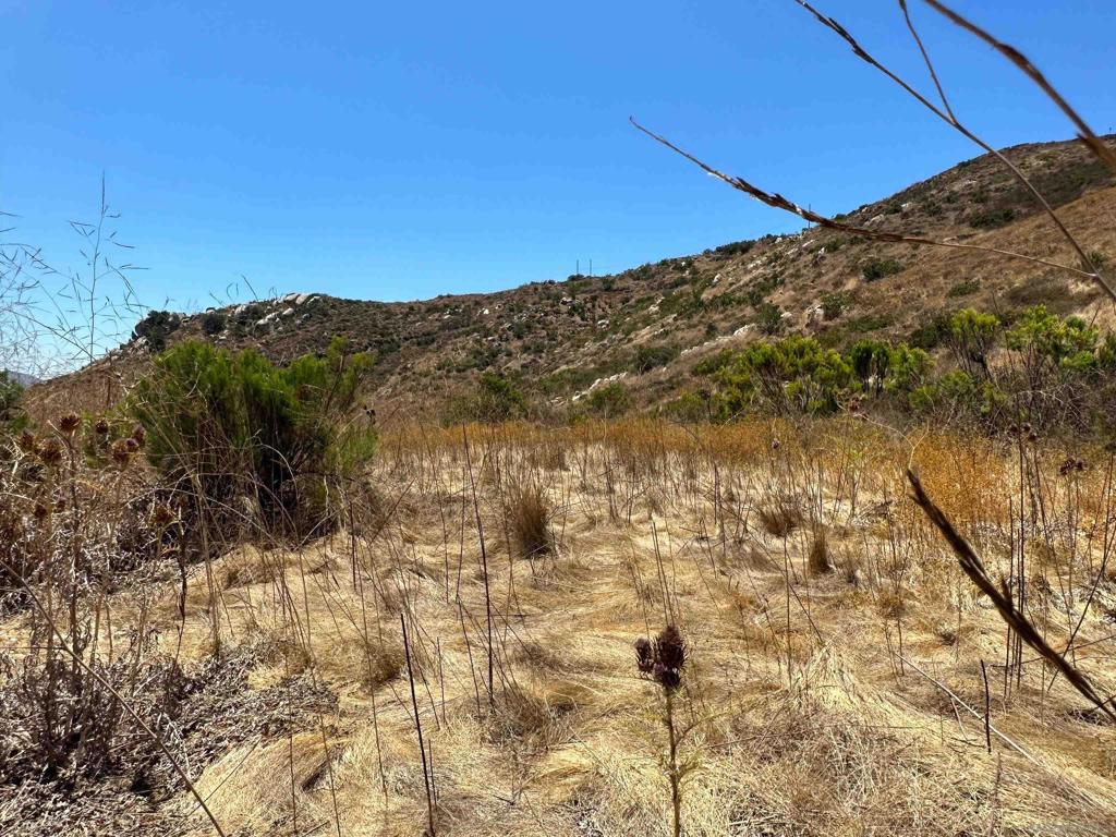 0 Summit Crest Drive Santee, CA 92071 - Photo 15 of 25 a view of a yard with a tree