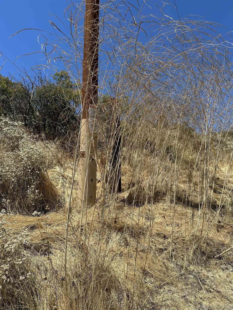 0 Summit Crest Drive Santee, CA 92071 - Photo 22 of 25 a view of wooden wall