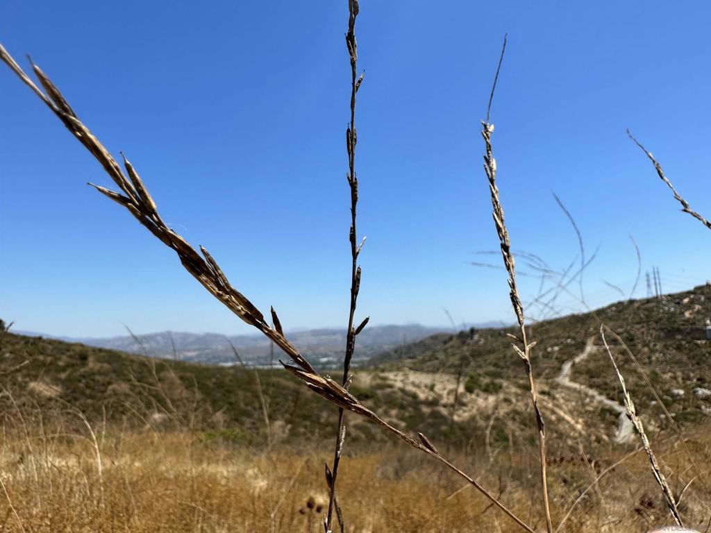 0 Summit Crest Drive Santee, CA 92071 - Photo 6 of 25 a house view
