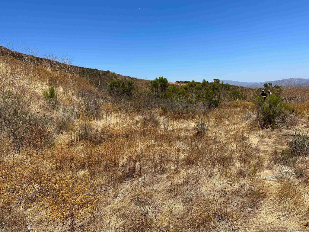 0 Summit Crest Drive Santee, CA 92071 - Photo 8 of 25 a view of a forest