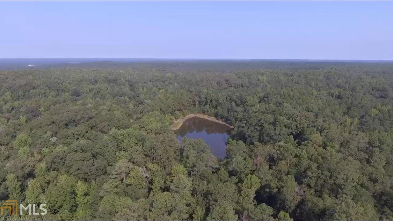 0 Cox Town Road Tennille, GA 31089 - Photo 1 of 1 Gallery Image 1