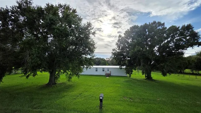 a view of a park with large trees