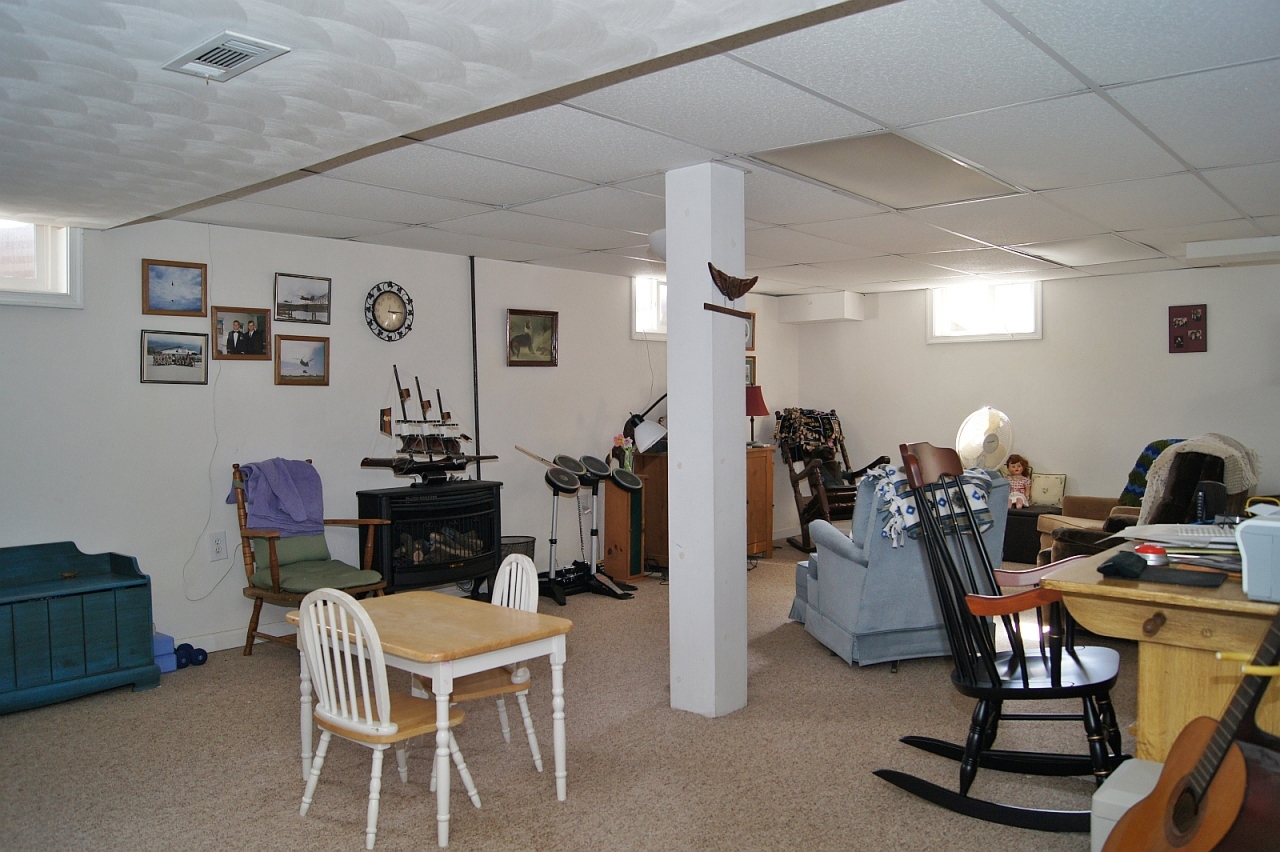 323 Newtown Road Shawsville, VA 24162 - Photo 11 of 16 Basement