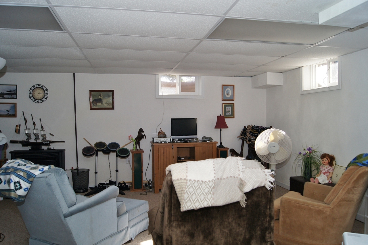 323 Newtown Road Shawsville, VA 24162 - Photo 12 of 16 Basement 2