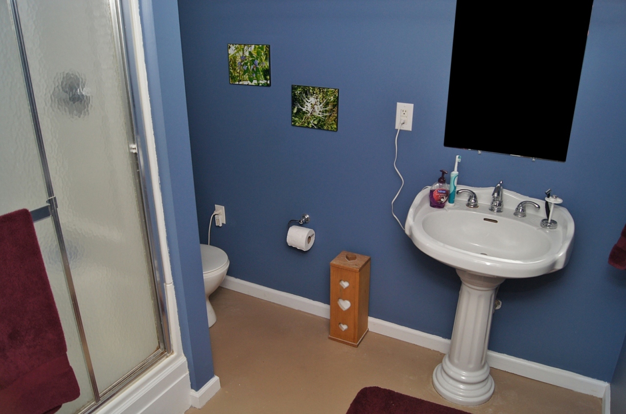 323 Newtown Road Shawsville, VA 24162 - Photo 13 of 16 Bathroom