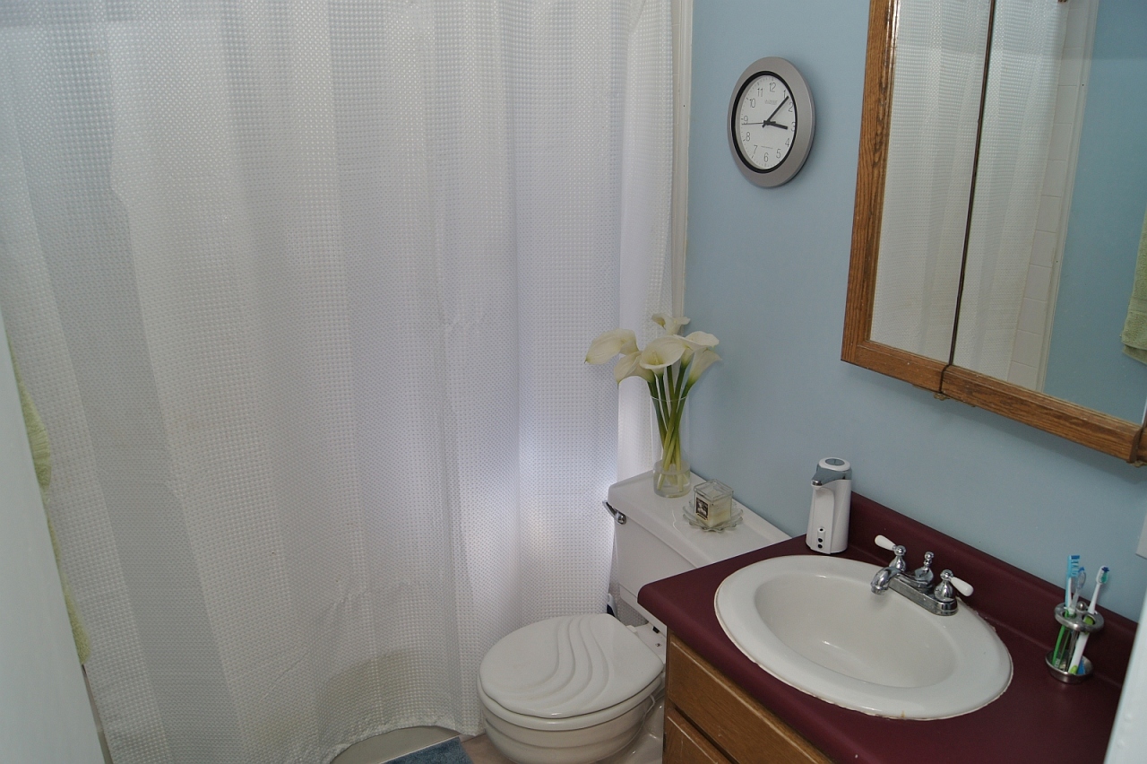 323 Newtown Road Shawsville, VA 24162 - Photo 9 of 16 Bathroom
