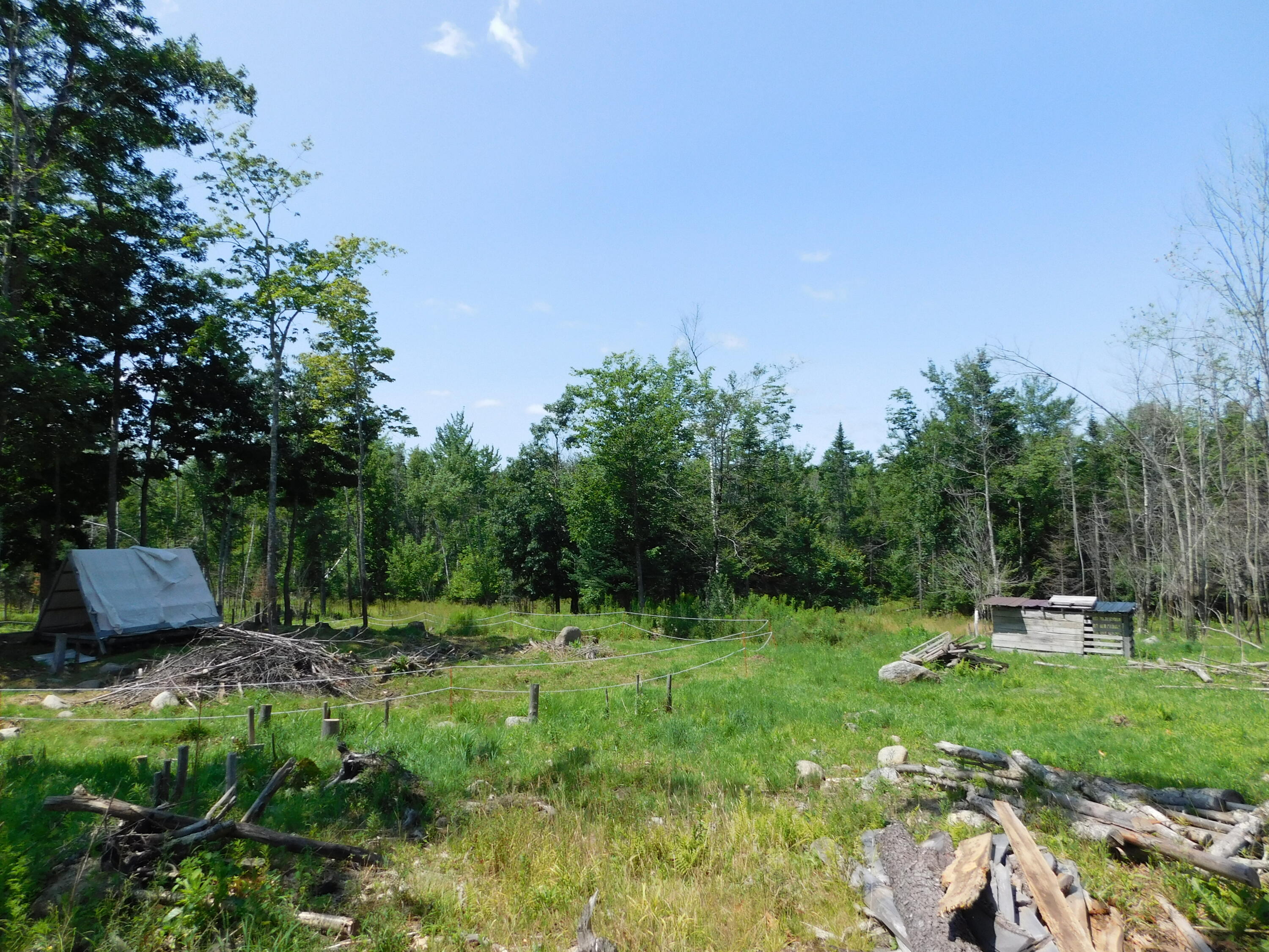 535 Betts Road Bucksport, ME 04416 - Photo 66 of 120 DSCN1339