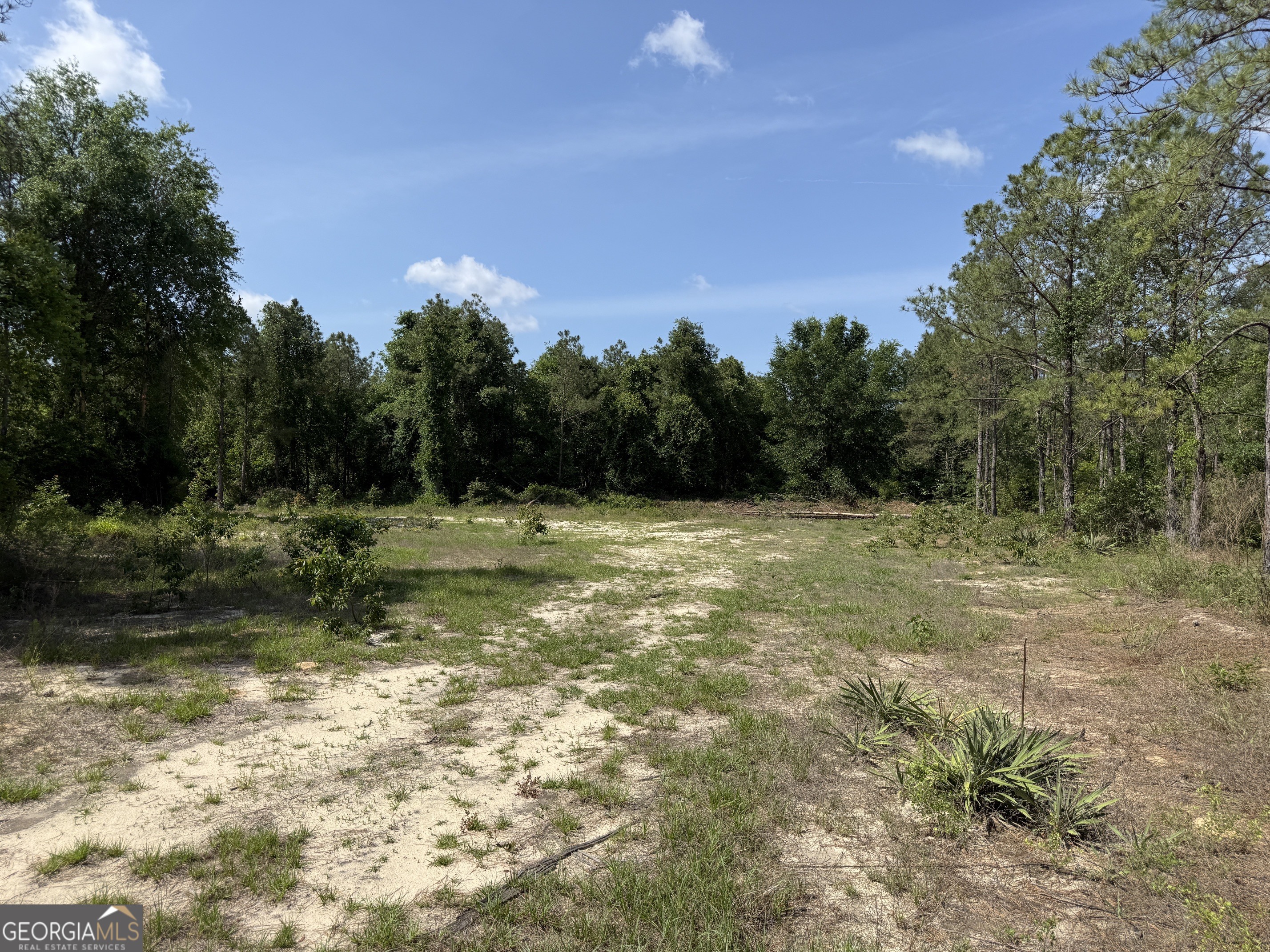 0 Bells Ferry Road Lumber City, GA 31549 - Photo 10 of 12 a view of outdoor space with a lake view