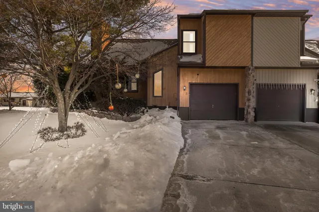 a view of a yard with a large tree