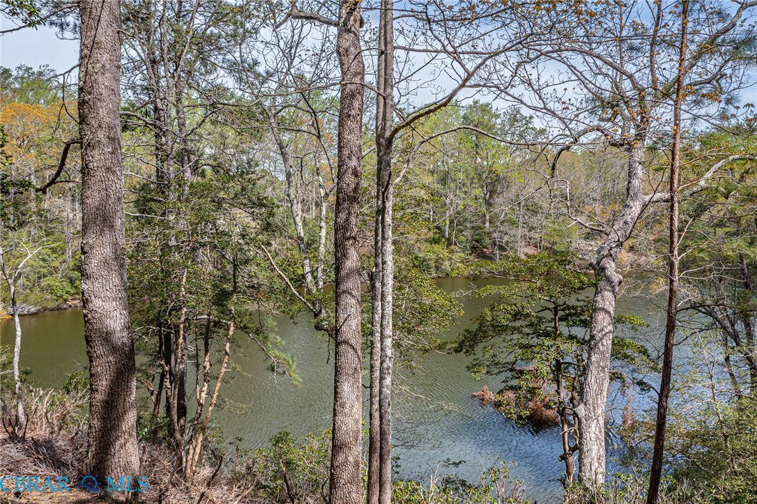 Lot 188 Ottoman Ferry Road Lancaster, VA 22503 - Photo 7 of 17