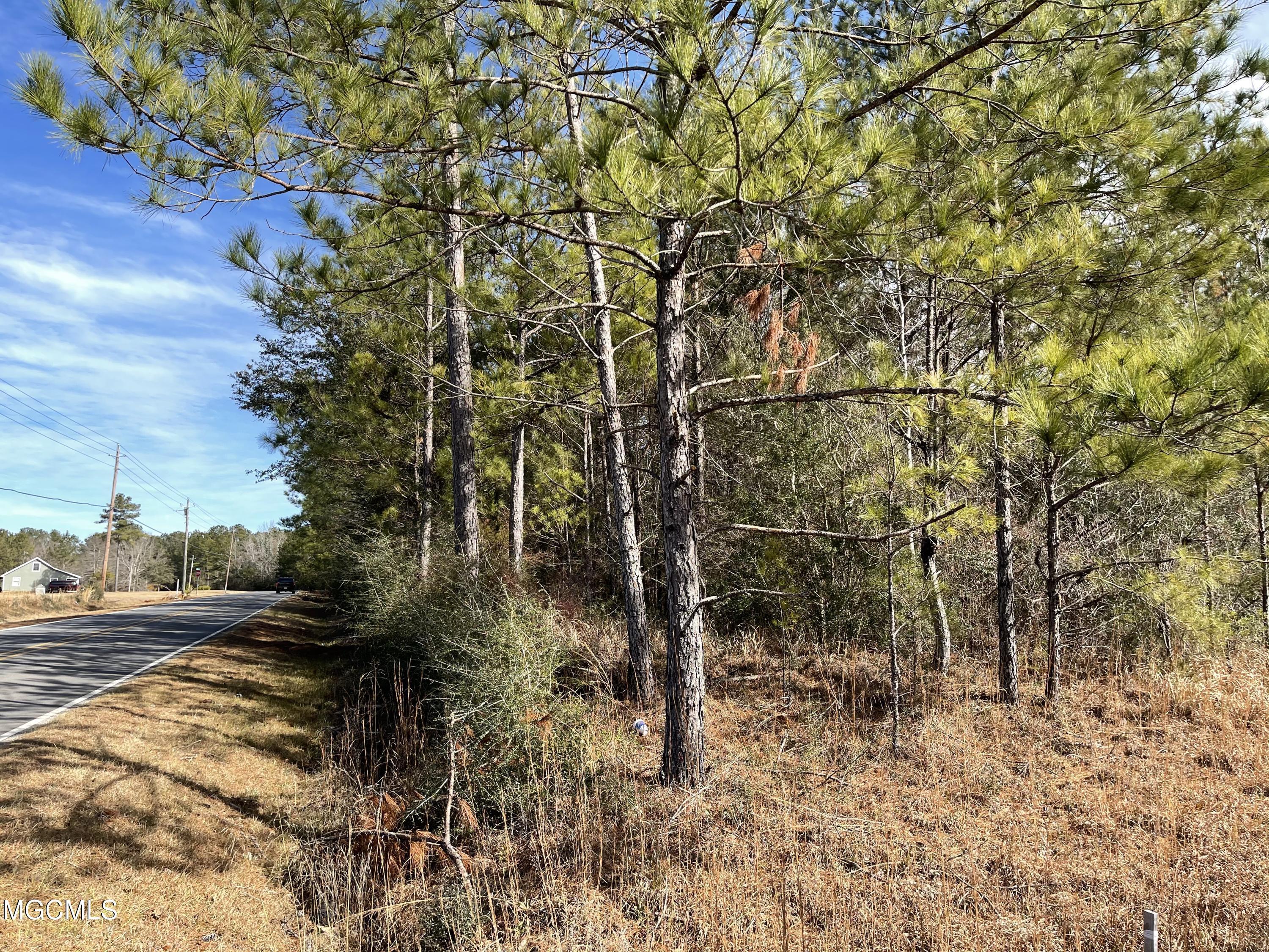 2.10-ac Basin-Central Road Lucedale, MS 39452 - Photo 8 of 8 62B3C3AB-D5A5-43B2-9908-8ABA561C4832