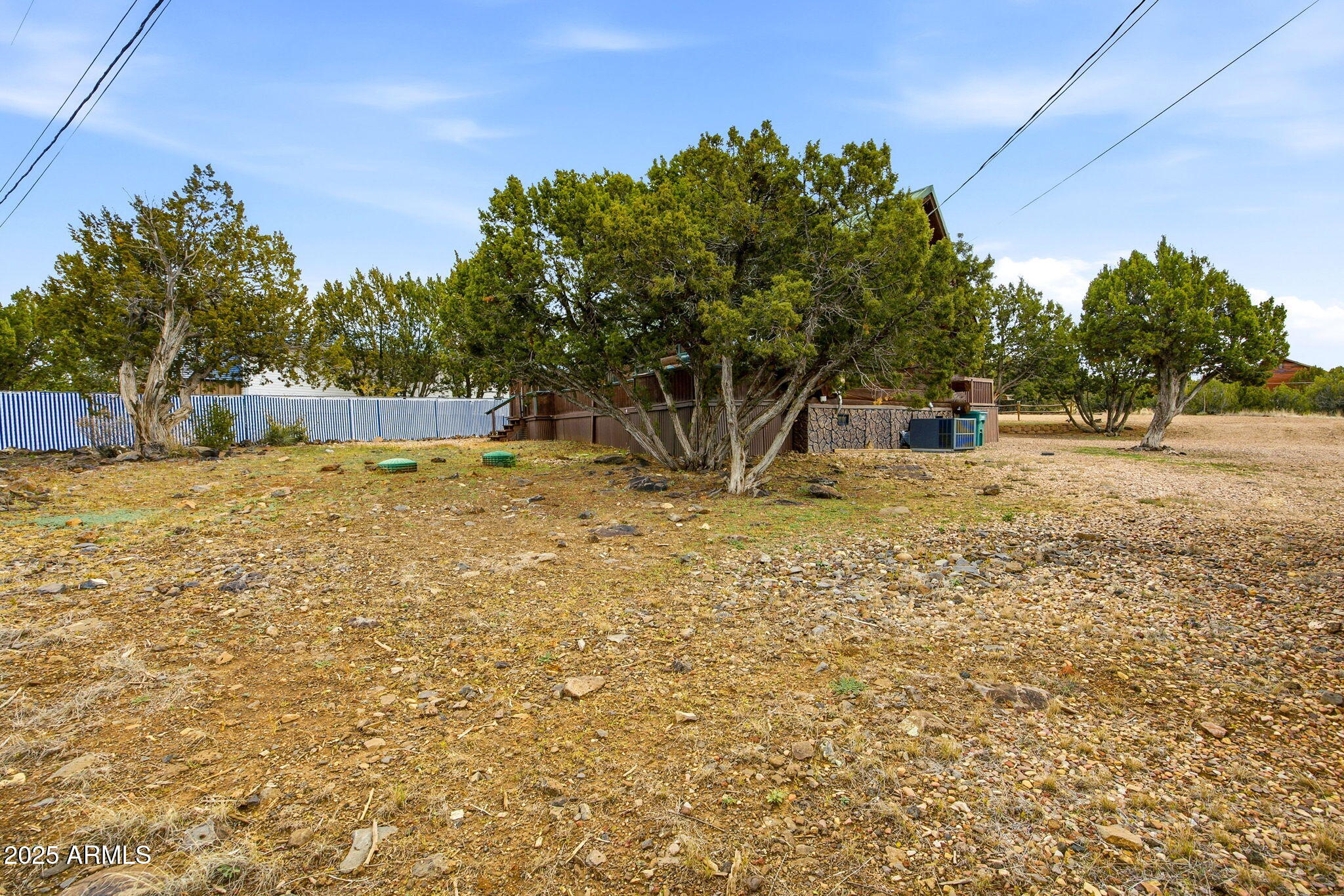 1904 Ponce Place Show Low, AZ 85901 - Photo 24 of 43 a view of a yard with a tree