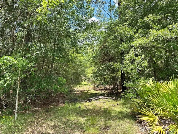 $23,000 | 13070 Northeast 78th Lane, Bronson, FL 32621