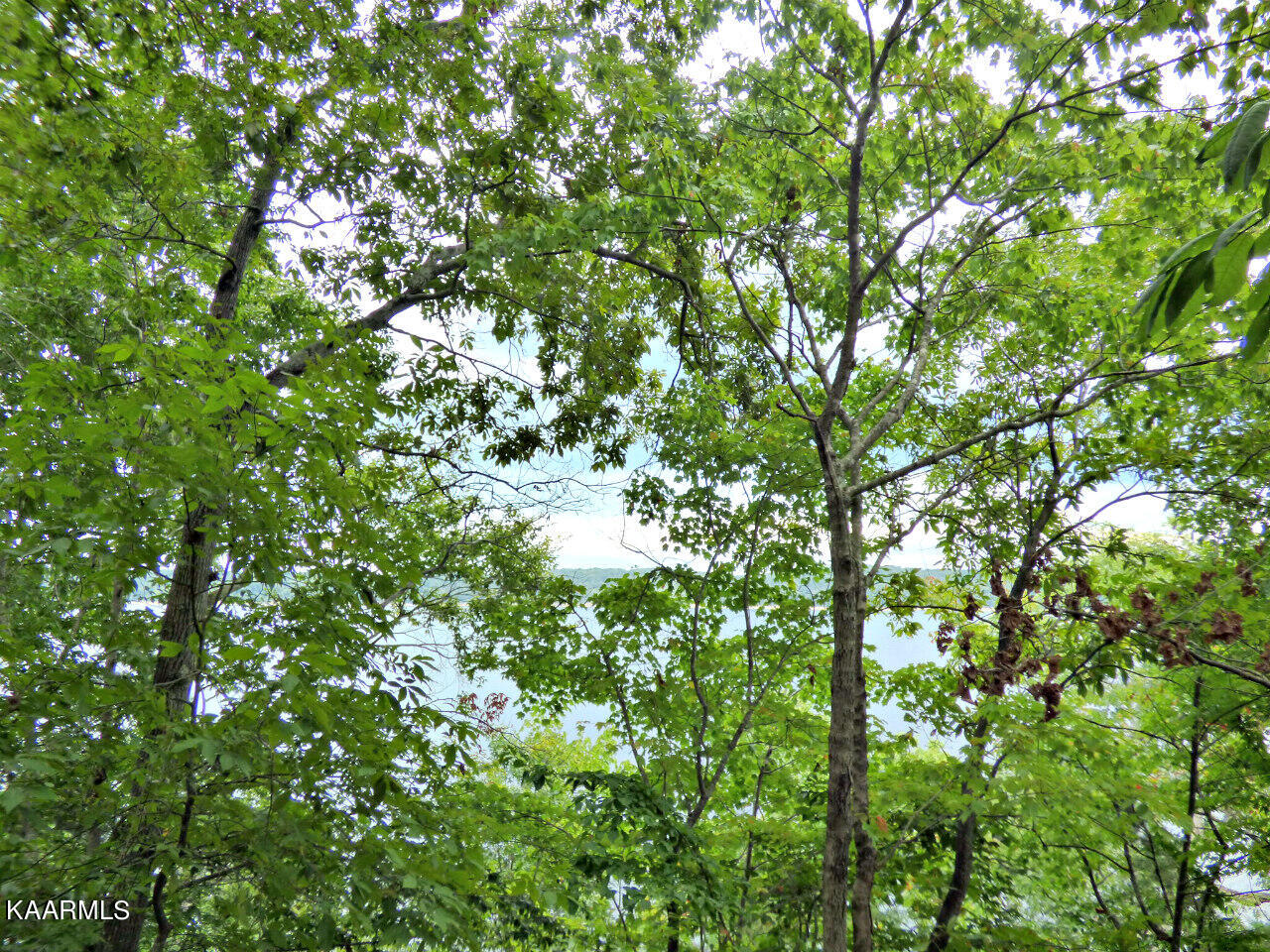 21 Woods Ridge Road Dandridge, TN 37725 - Photo 11 of 25 P1260090