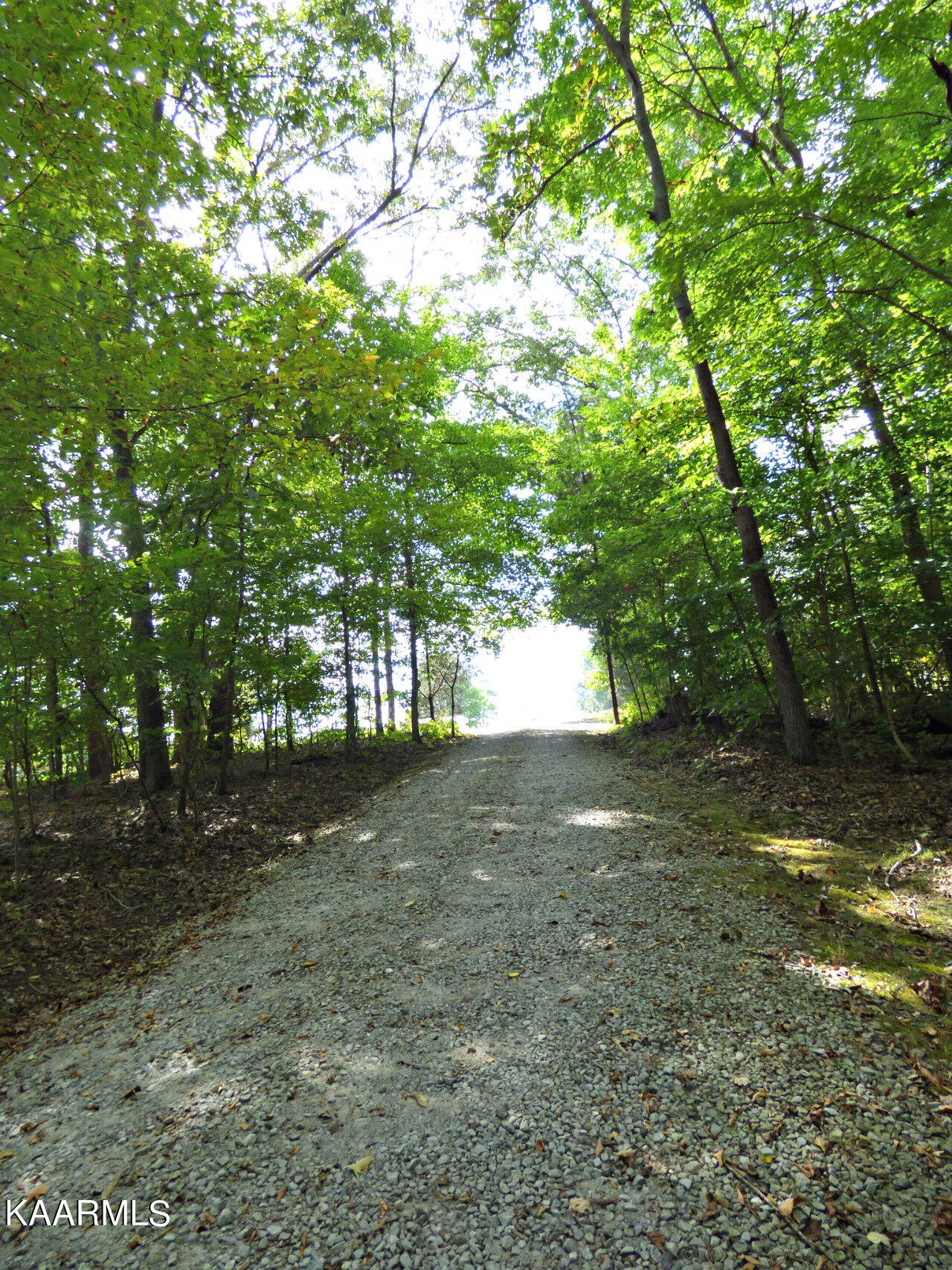 21 Woods Ridge Road Dandridge, TN 37725 - Photo 15 of 25 P1260109