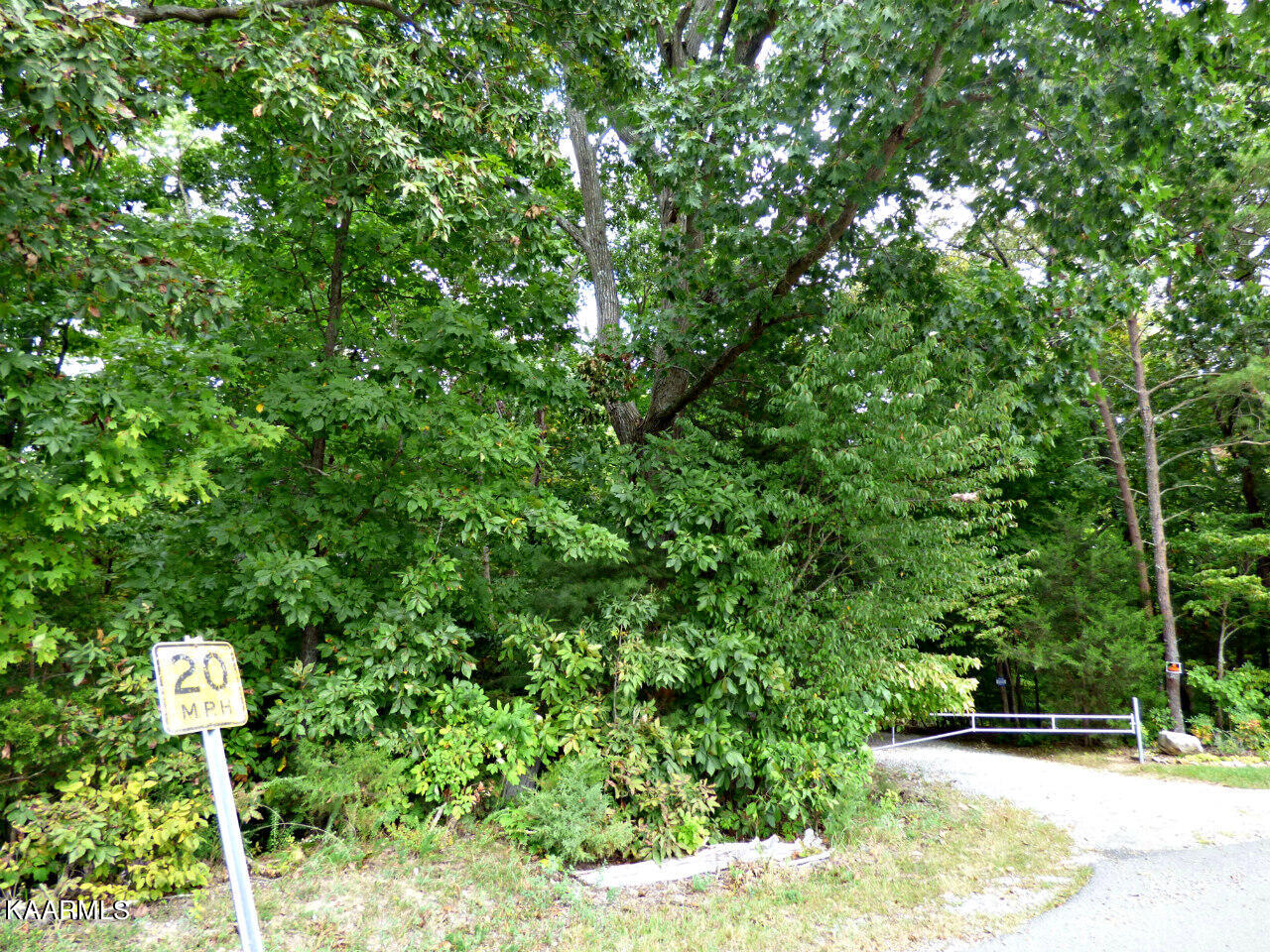 21 Woods Ridge Road Dandridge, TN 37725 - Photo 17 of 25 P1260038