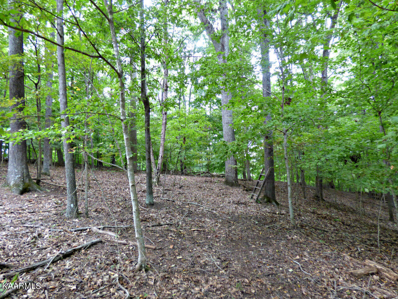 21 Woods Ridge Road Dandridge, TN 37725 - Photo 18 of 25 P1260044