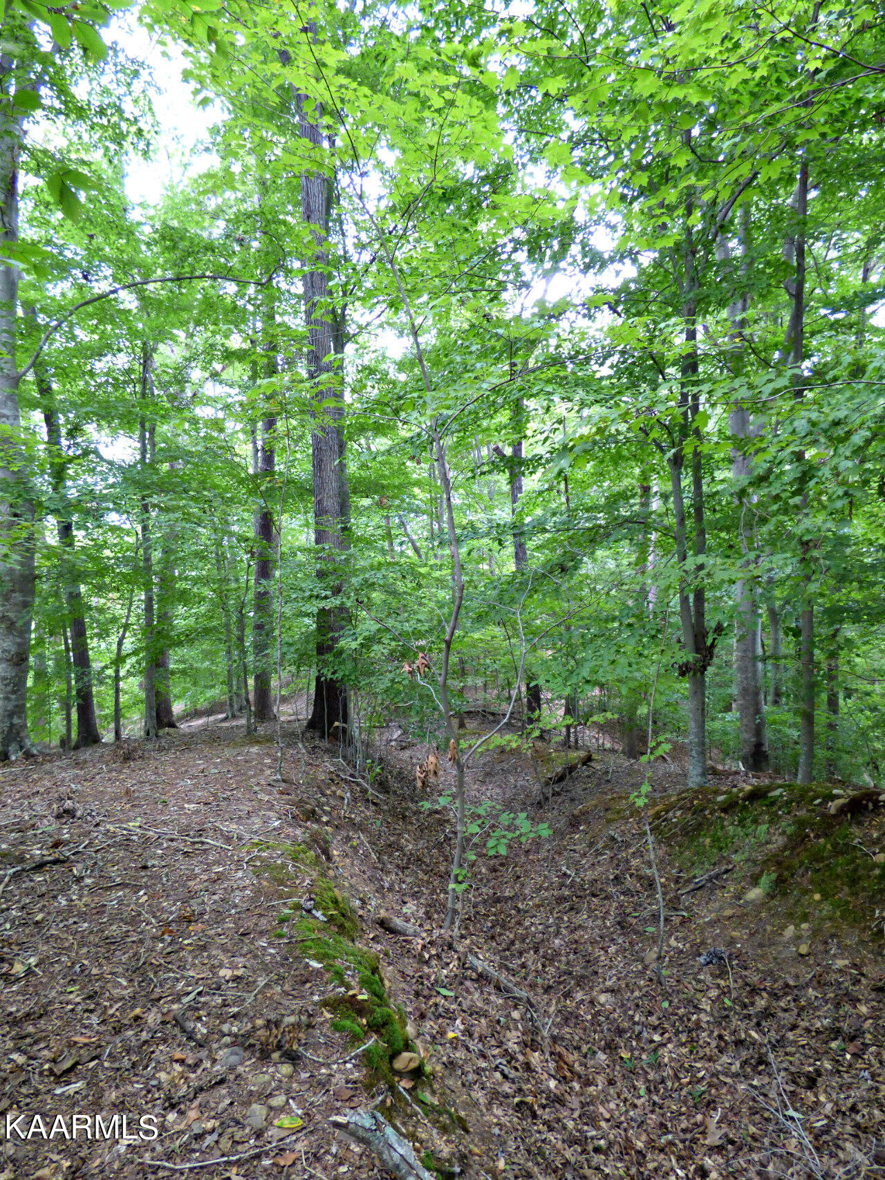 21 Woods Ridge Road Dandridge, TN 37725 - Photo 20 of 25 P1260050