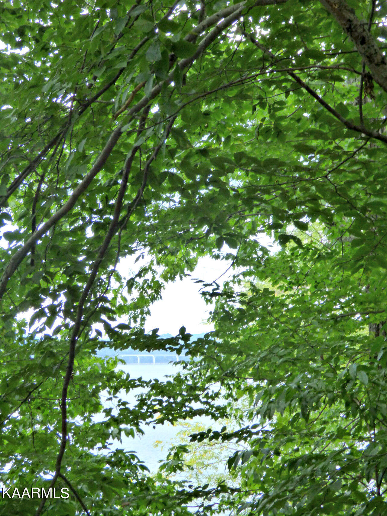21 Woods Ridge Road Dandridge, TN 37725 - Photo 3 of 25 P1260060