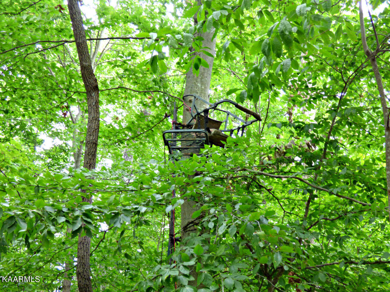 21 Woods Ridge Road Dandridge, TN 37725 - Photo 10 of 25 P1260075