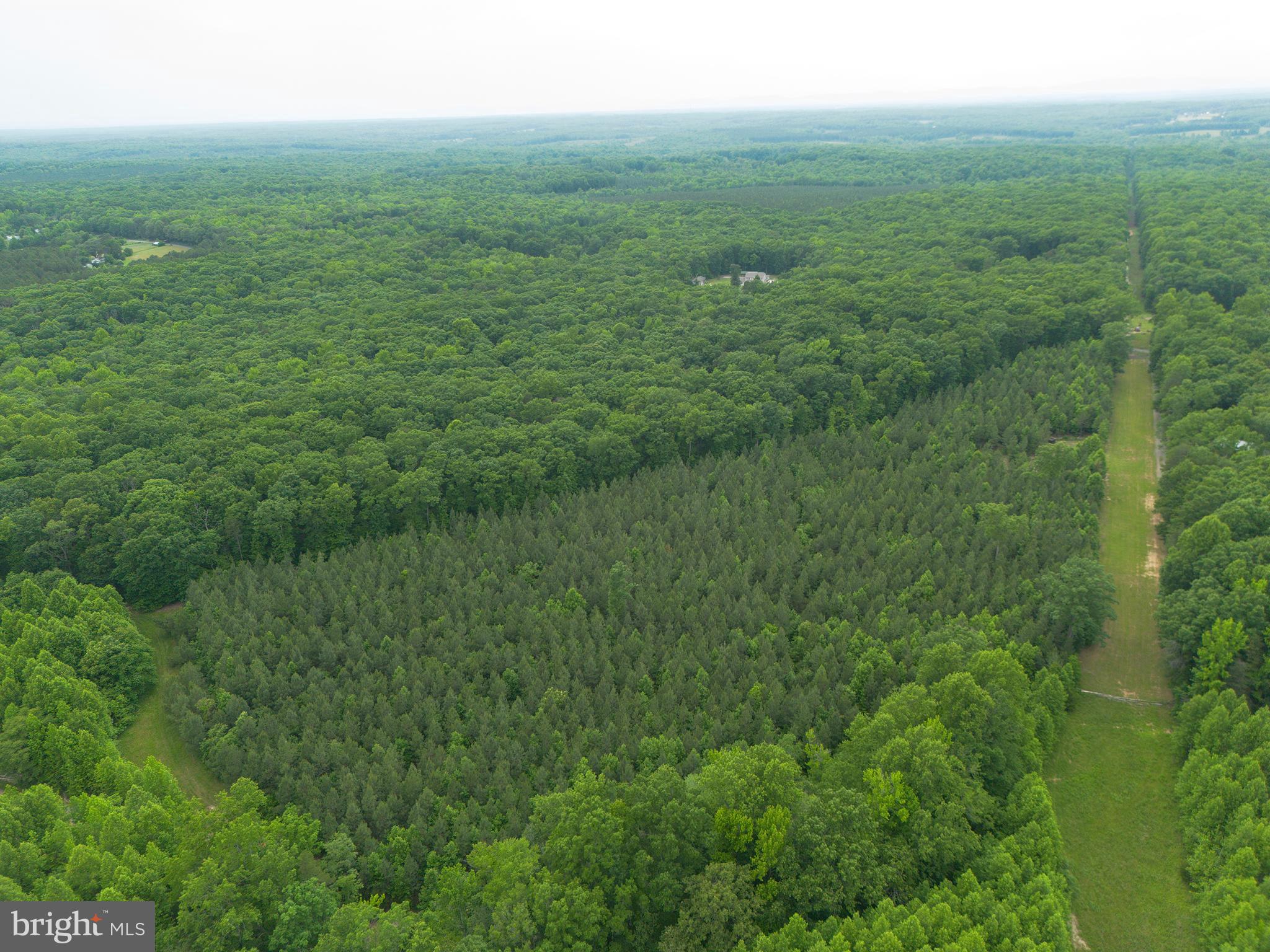 Lot 2 Roundabout Road Louisa, VA 23093 - Photo 8 of 26