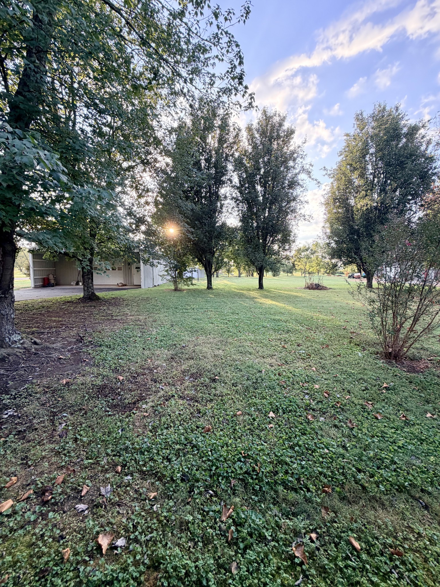 759 Rock Springs Road Castalian Springs, TN 37031 - Photo 8 of 12 Gallery Image 8