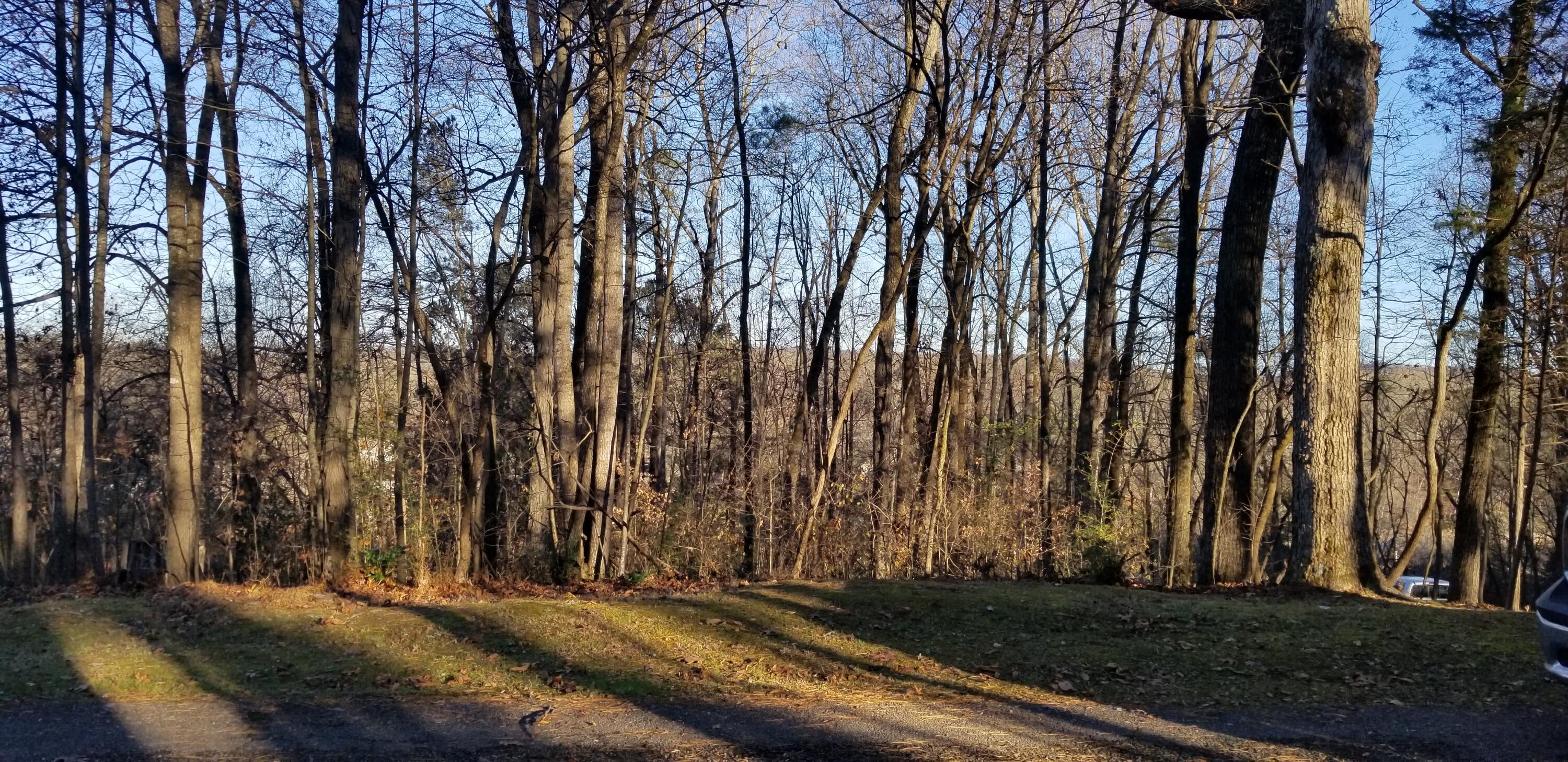 Lot 3 Morgan Estates Road, Unit 3 Harrison, TN 37341 - Photo 1 of 5 20211212_161024