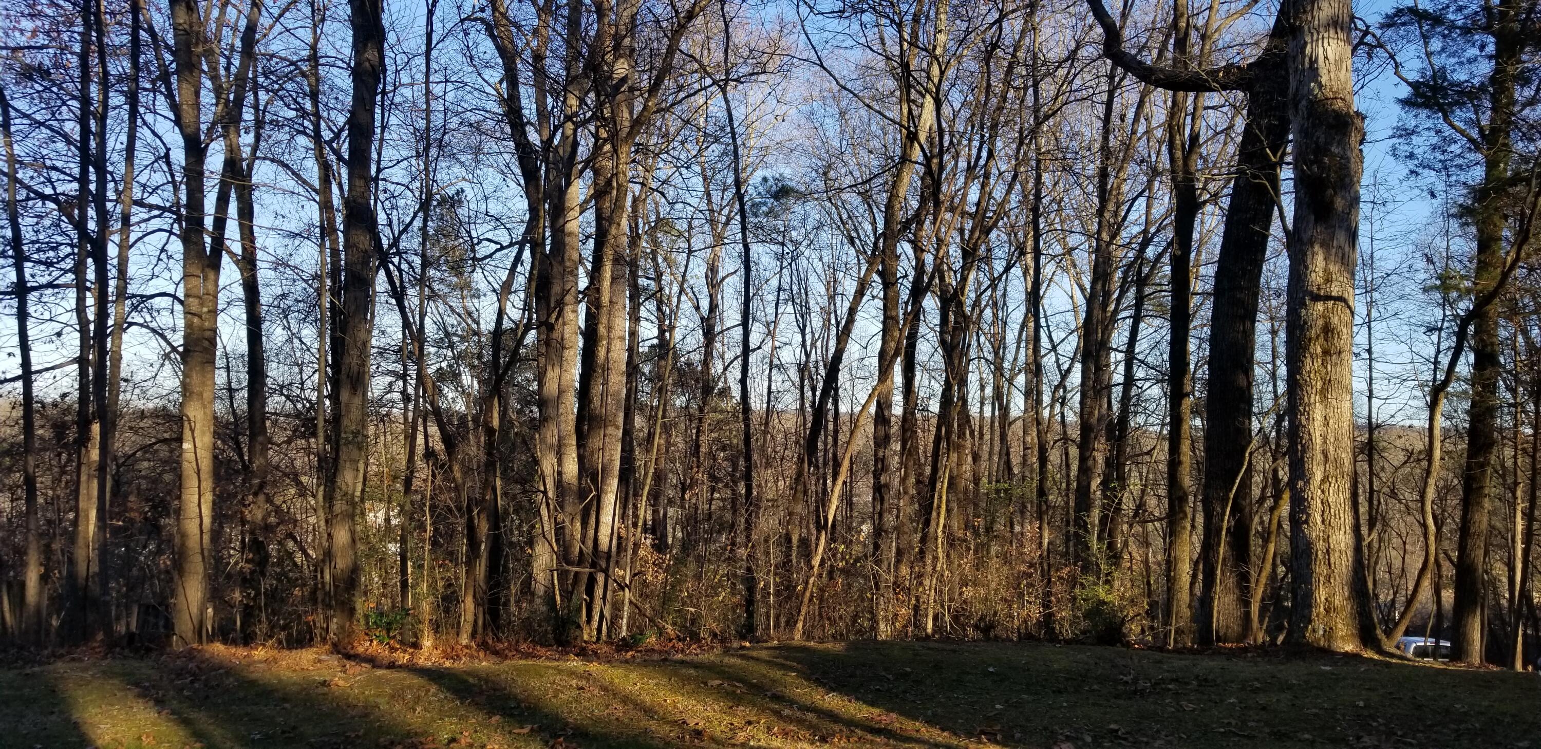 Lot 3 Morgan Estates Road, Unit 3 Harrison, TN 37341 - Photo 2 of 5 20211212_161027