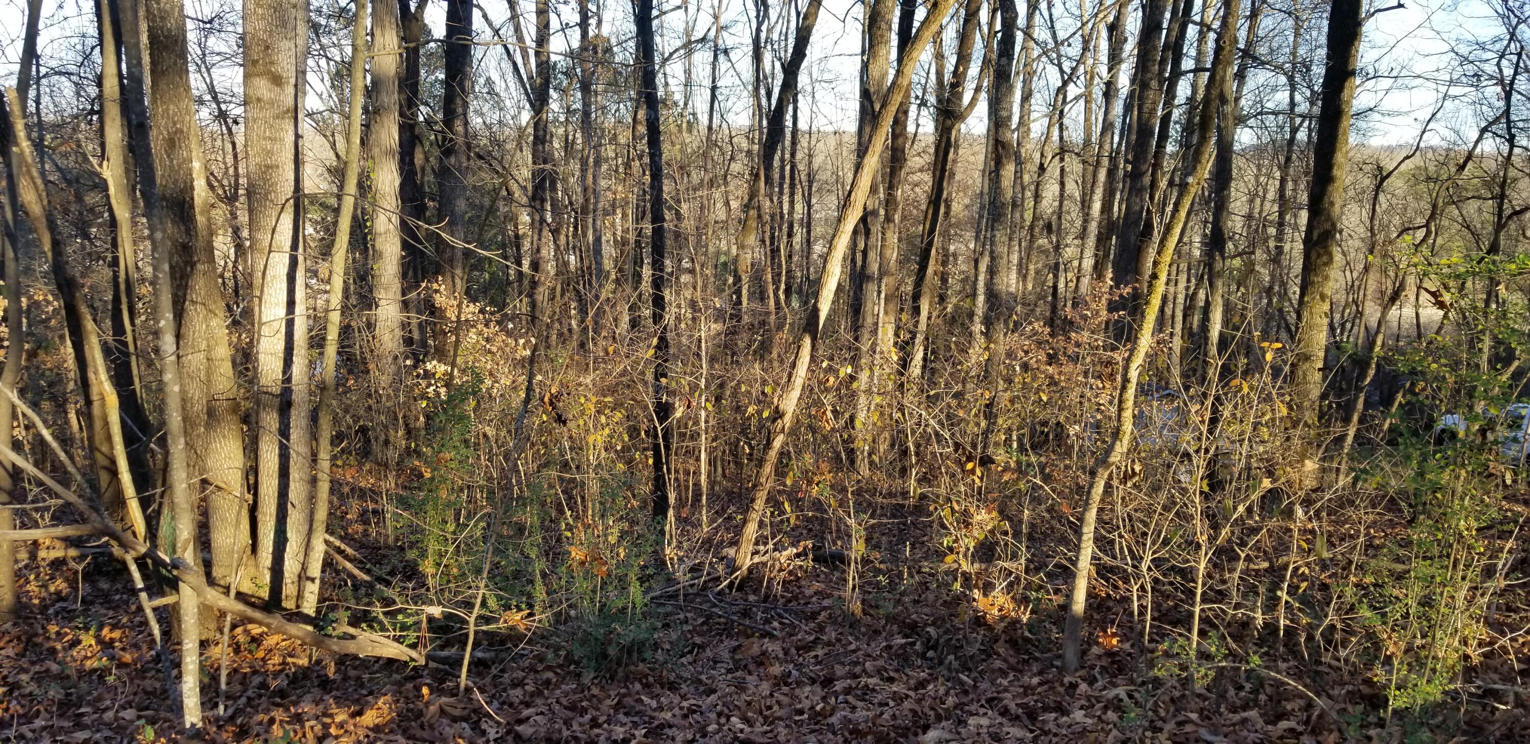Lot 3 Morgan Estates Road, Unit 3 Harrison, TN 37341 - Photo 3 of 5 20211212_161038