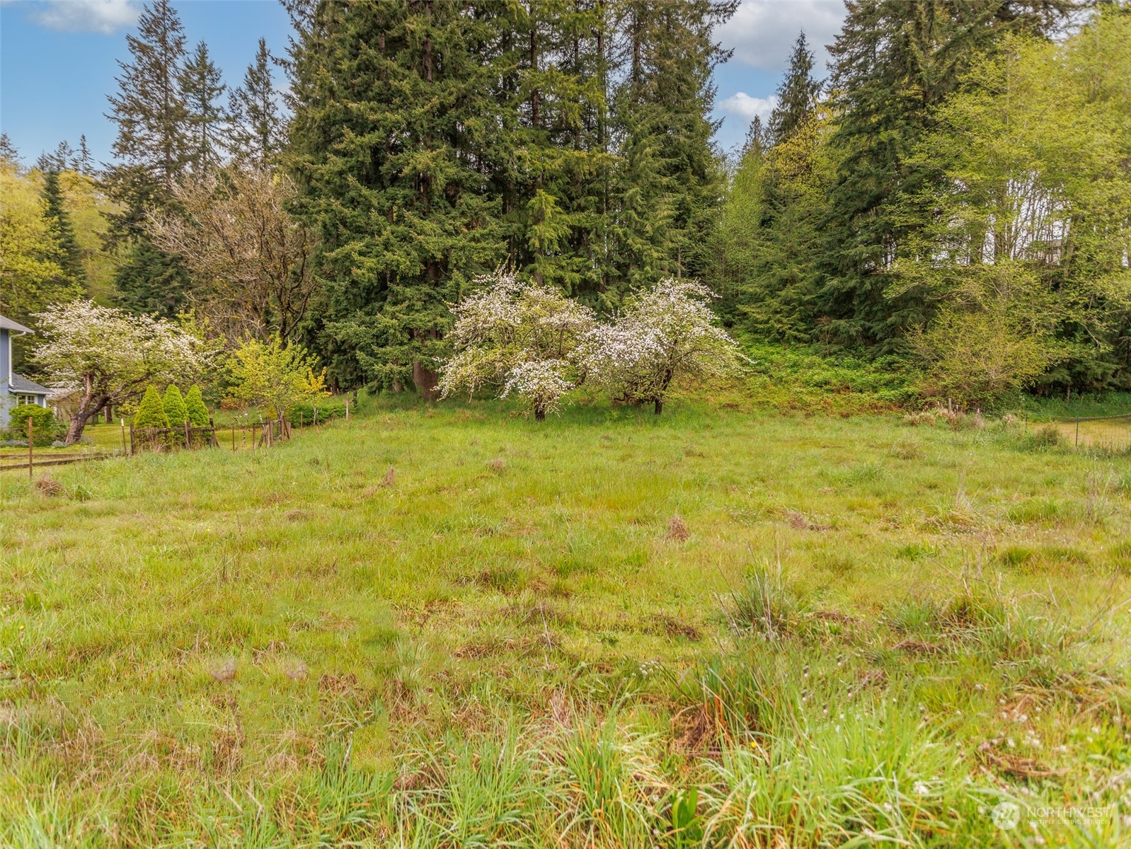 83 Cloquallum Road Elma, WA 98541 - Photo 34 of 40 Gallery Image 34
