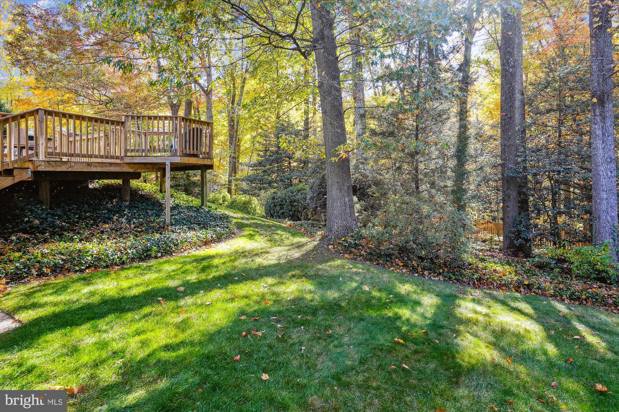 4526 Gilbertson Road Fairfax, VA 22032 - Photo 44 of 51 Explore in your fenced in Back Yard.