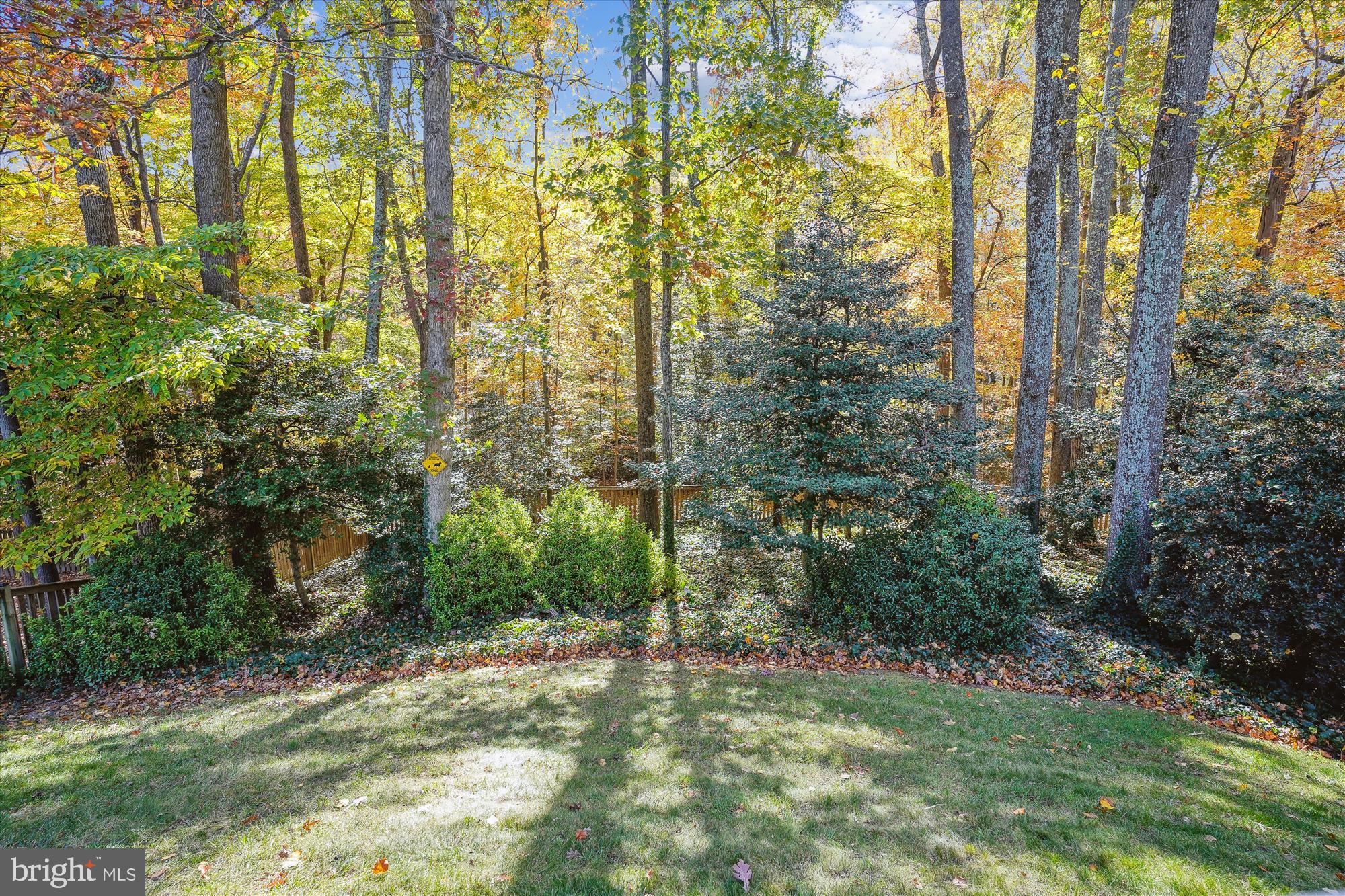 4526 Gilbertson Road Fairfax, VA 22032 - Photo 46 of 51 Spectacular View!