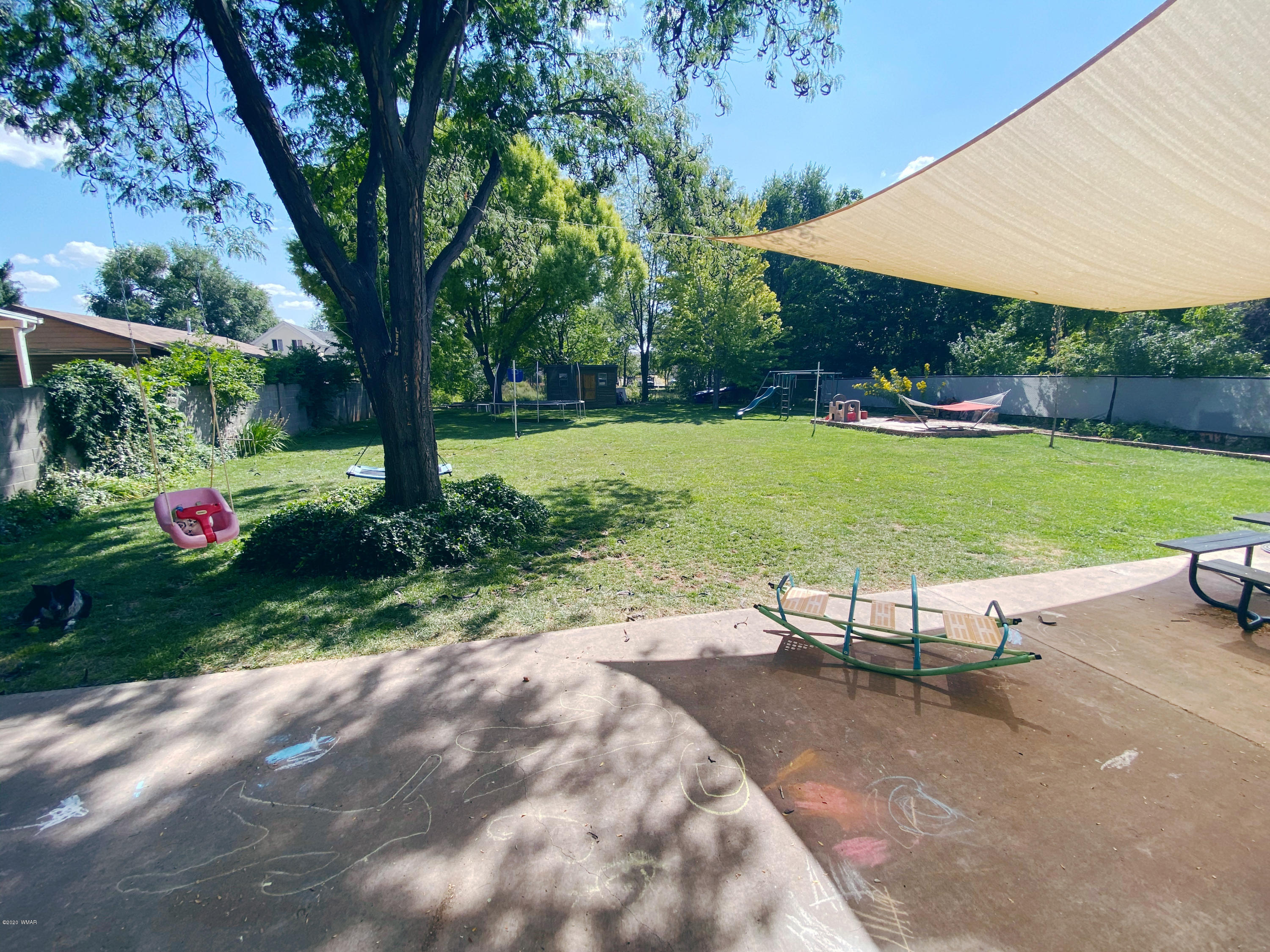 241 West Center Street Snowflake, AZ 85937 - Photo 23 of 25 a view of a park with plants and large trees