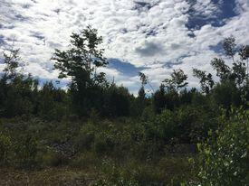 Lot 10-2 Airline Road Baileyville, ME 04694 - Photo 5 of 7 241001098_321135173130966_49723625520223
