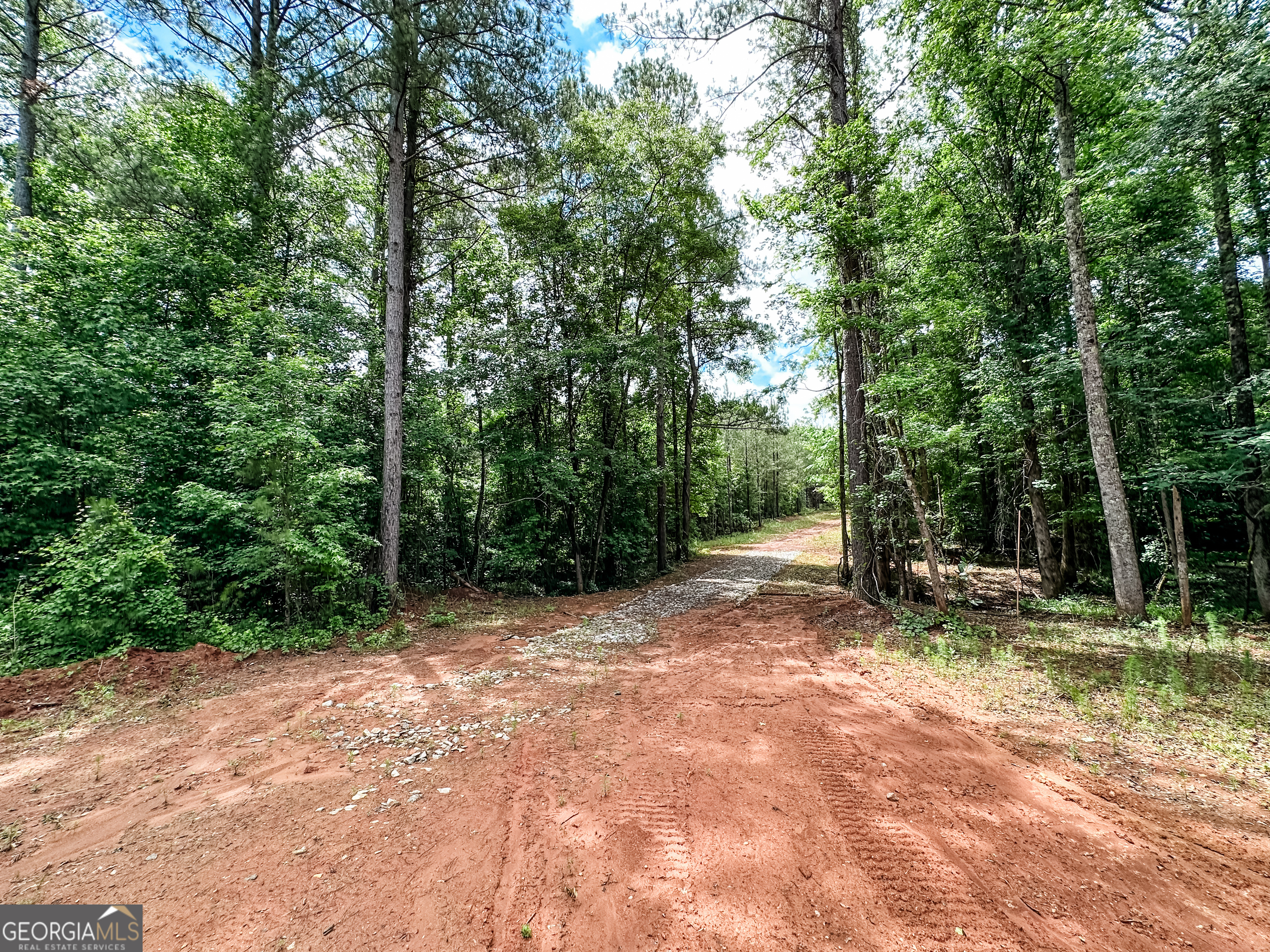 52.4-acres Goolsby Road, Unit 52 4 ACRES Monticello, GA 31064 - Photo 11 of 25