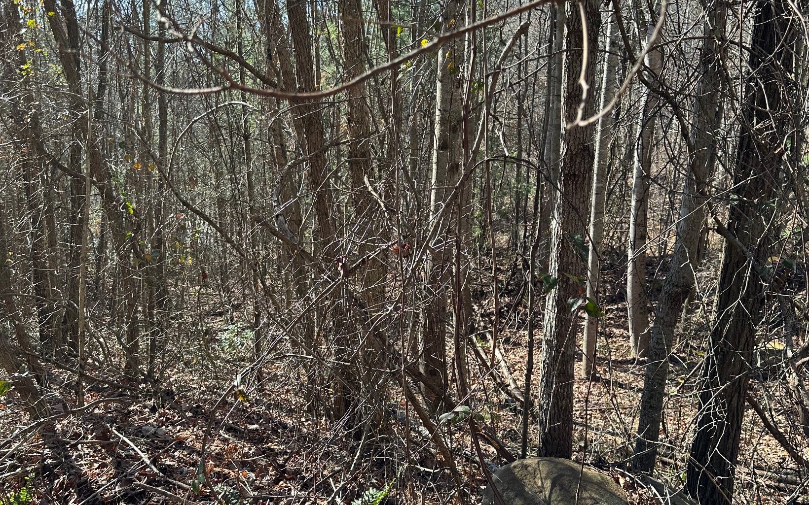 174 Burrell Mountain Road Murphy, NC 28906 - Photo 3 of 7 Additional View