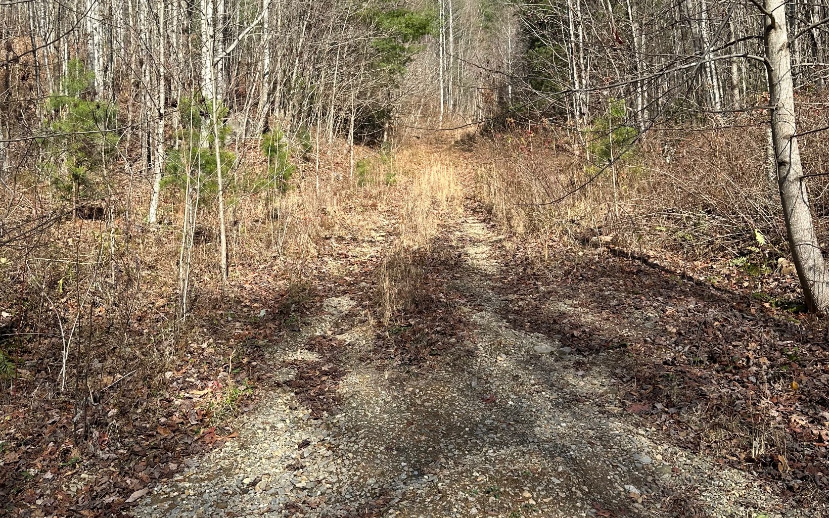 174 Burrell Mountain Road Murphy, NC 28906 - Photo 4 of 7 Additional View