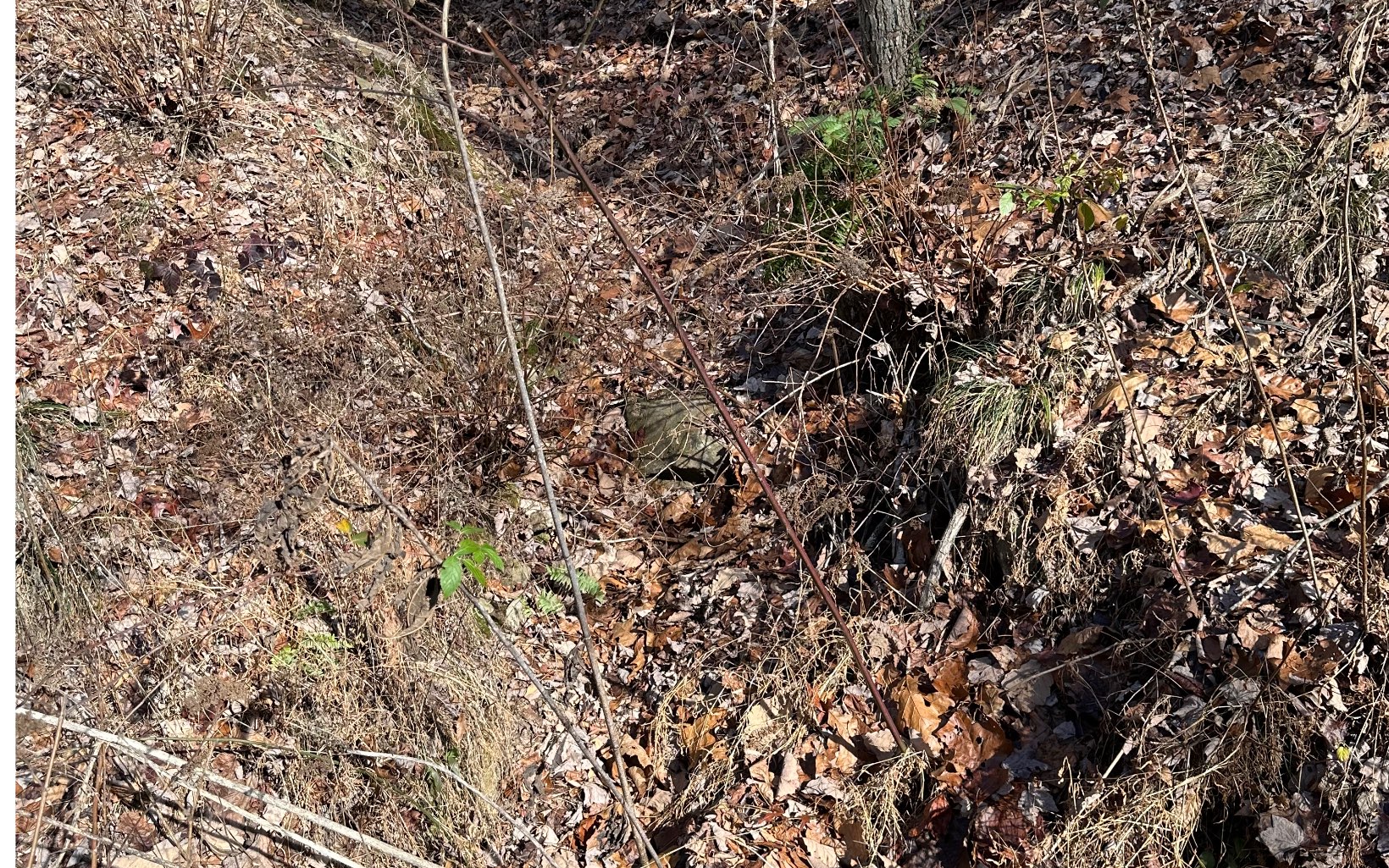 174 Burrell Mountain Road Murphy, NC 28906 - Photo 5 of 7 Additional View