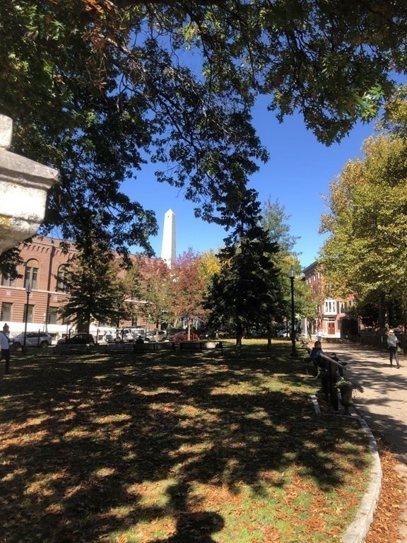55 Park Street Boston, MA 02129 - Photo 3 of 24 a view of a street with houses