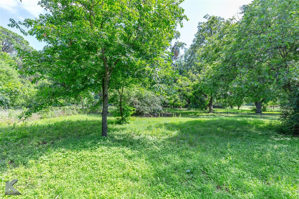 202 East Ross Street Rising Star, TX 76471 - Photo 40 of 40 a view of green field with trees in the background