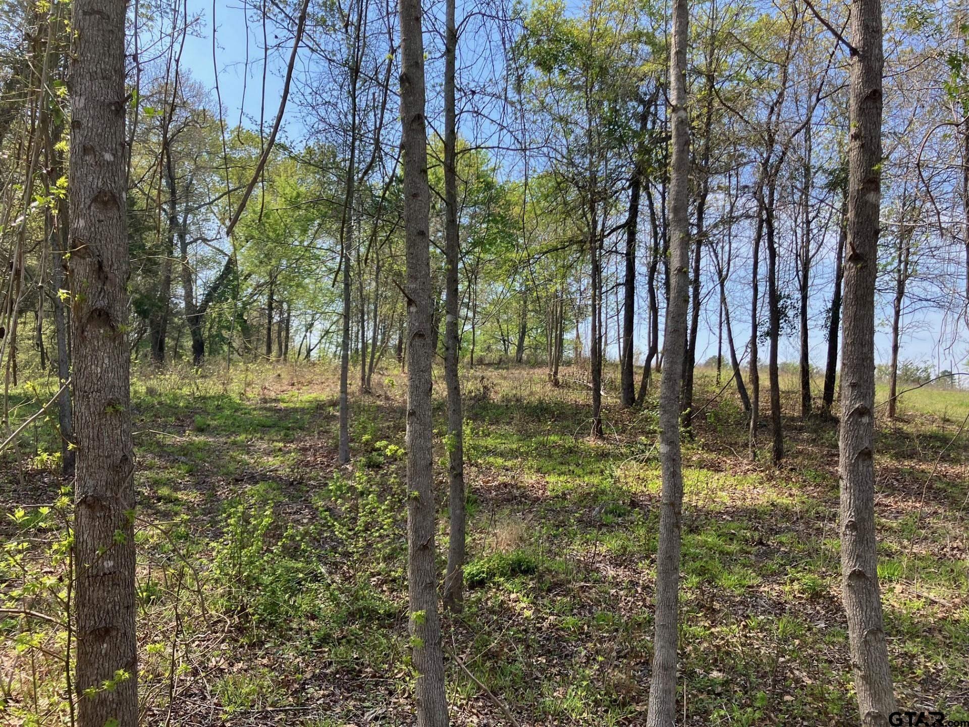 16730 Ridgeline Loop Winona, TX 75792 - Photo 11 of 13