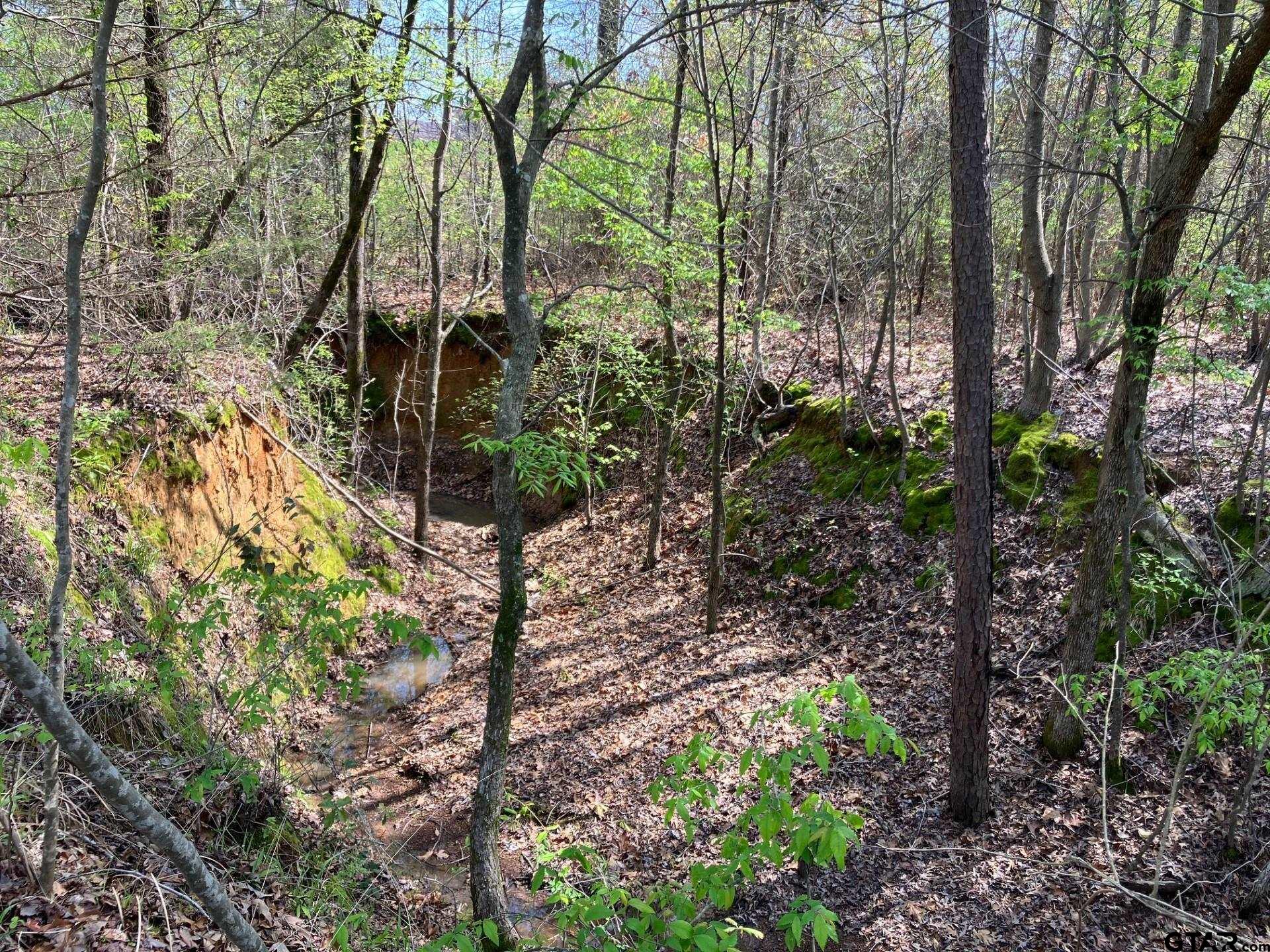 16730 Ridgeline Loop Winona, TX 75792 - Photo 12 of 13