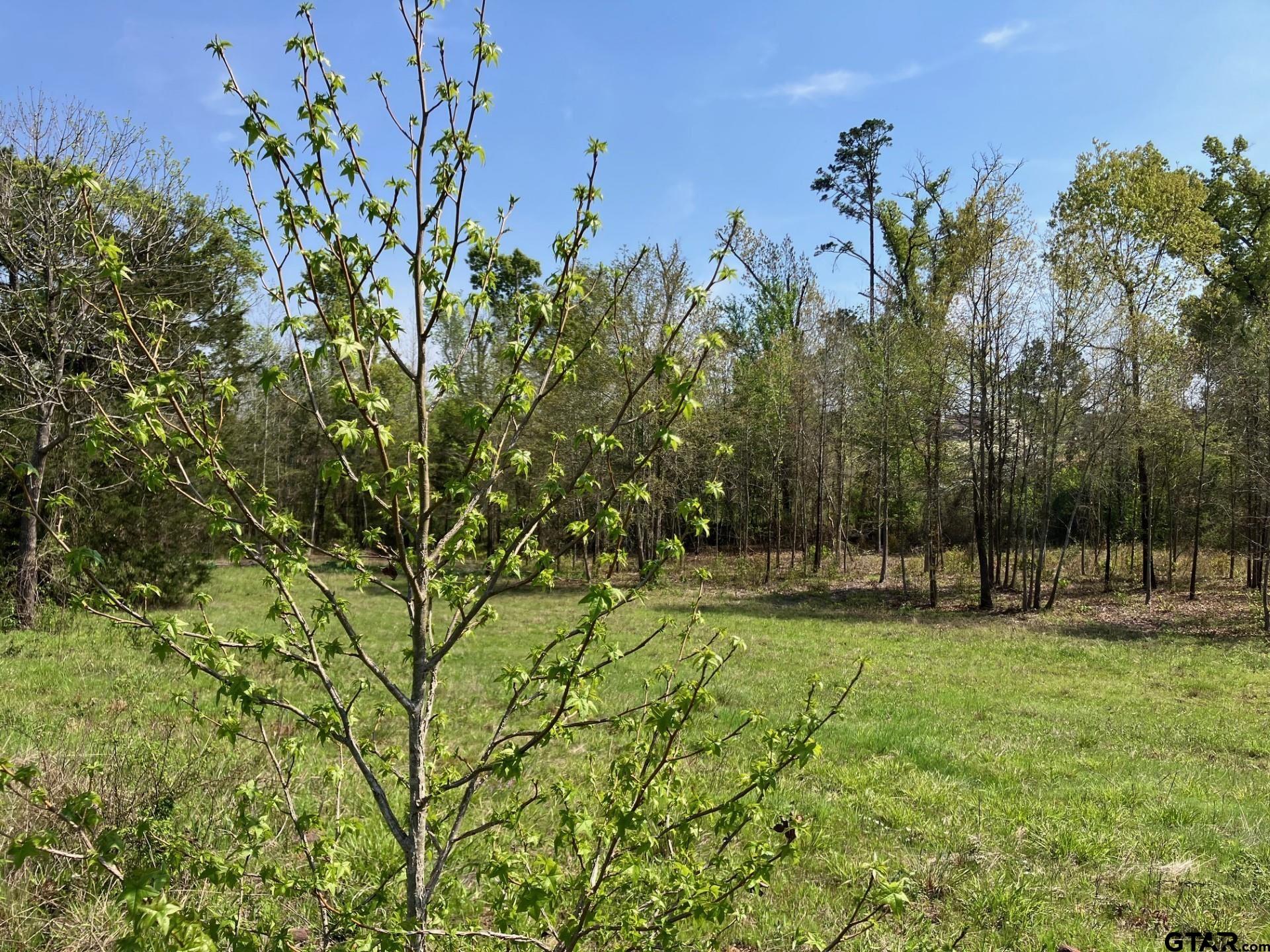 16730 Ridgeline Loop Winona, TX 75792 - Photo 3 of 13