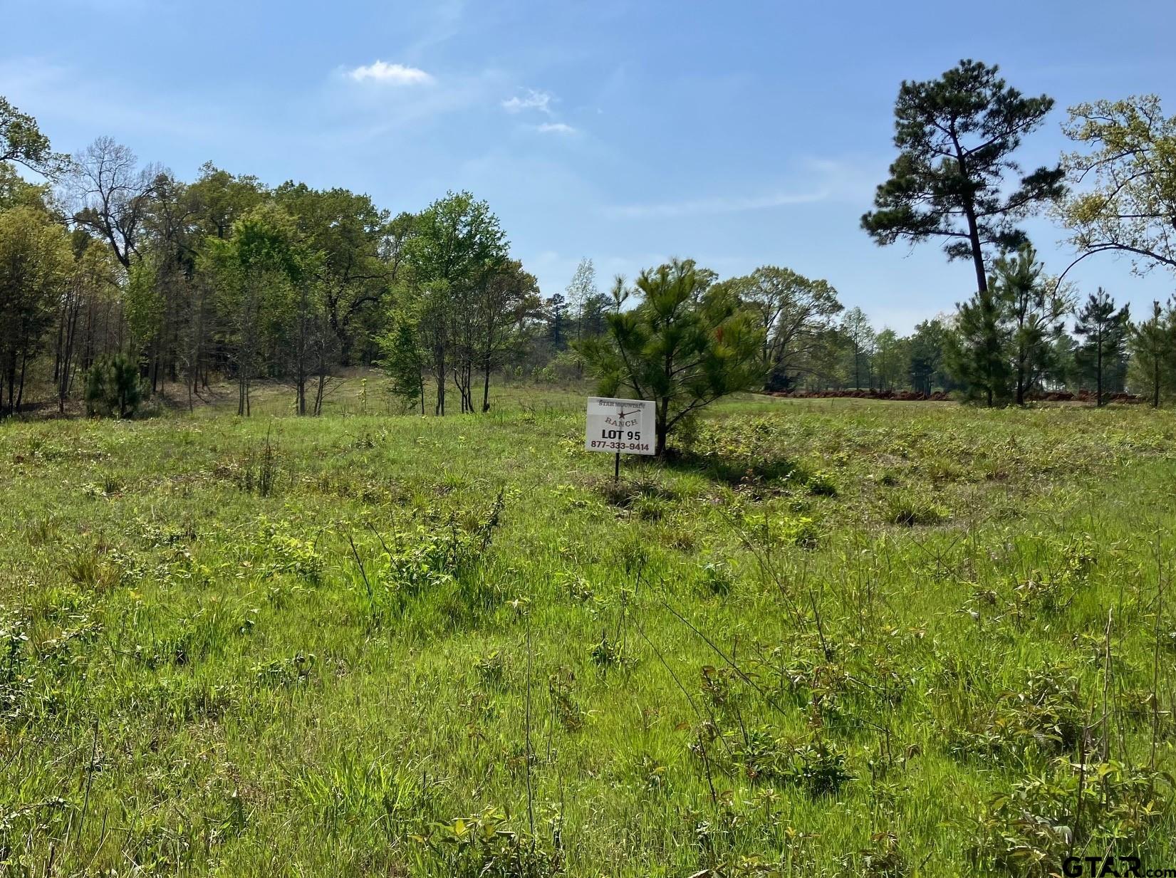 16730 Ridgeline Loop Winona, TX 75792 - Photo 4 of 13