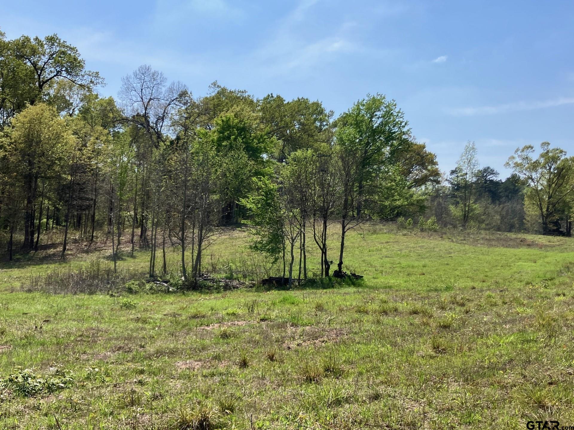 16730 Ridgeline Loop Winona, TX 75792 - Photo 5 of 13