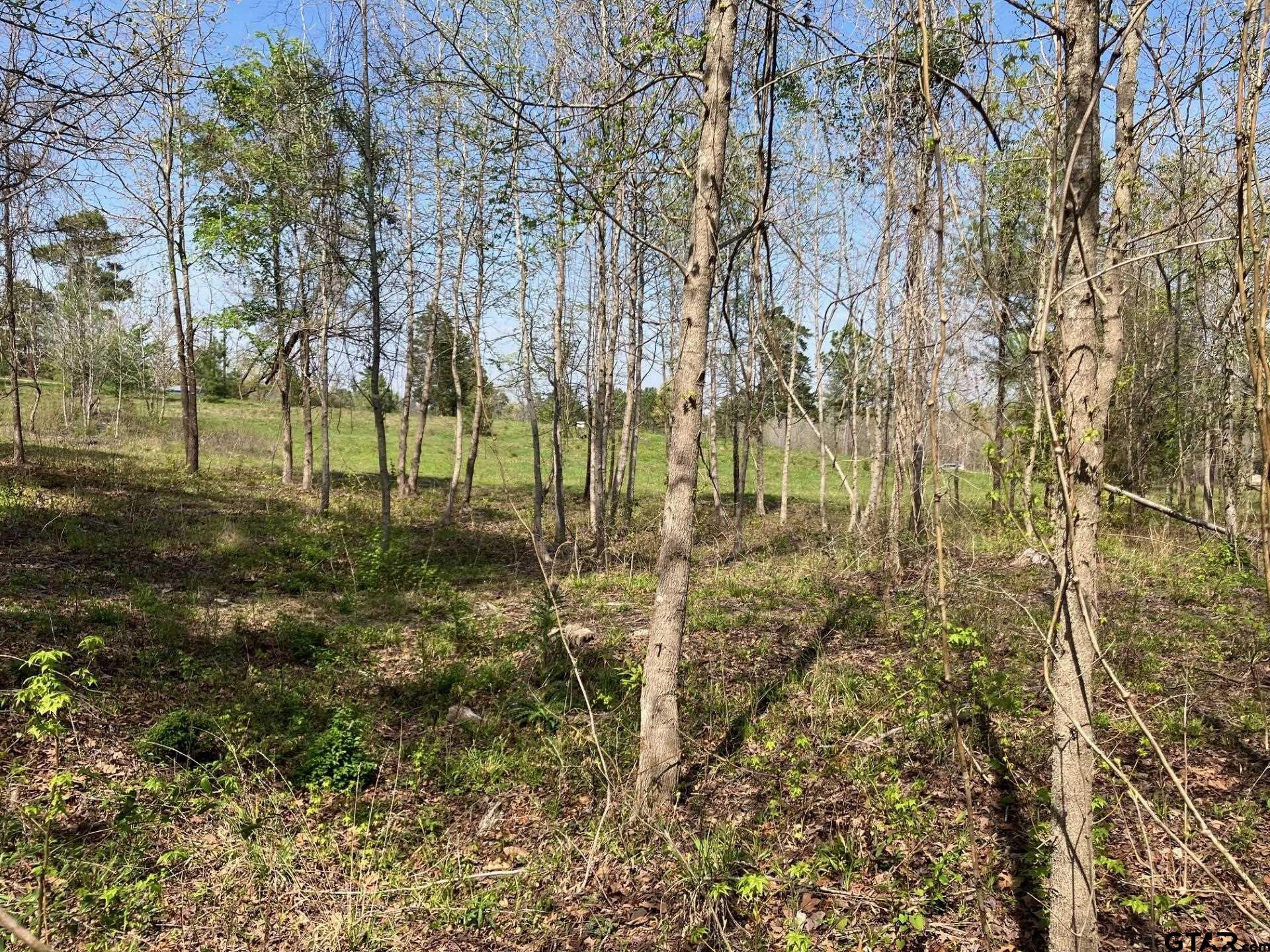 16730 Ridgeline Loop Winona, TX 75792 - Photo 10 of 13