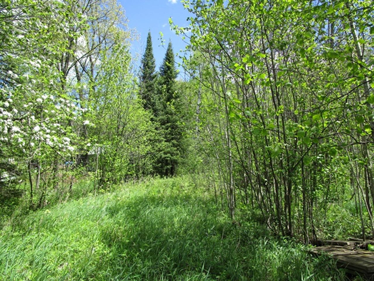 7851 South Foster Road Hurley, WI 54534 - Photo 2 of 9 Gallery Image 2