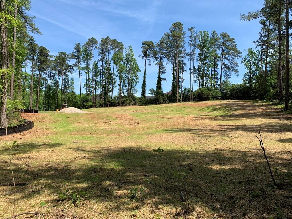 4418 Columbia Road Augusta, GA 30907 - Photo 3 of 5 468901_3