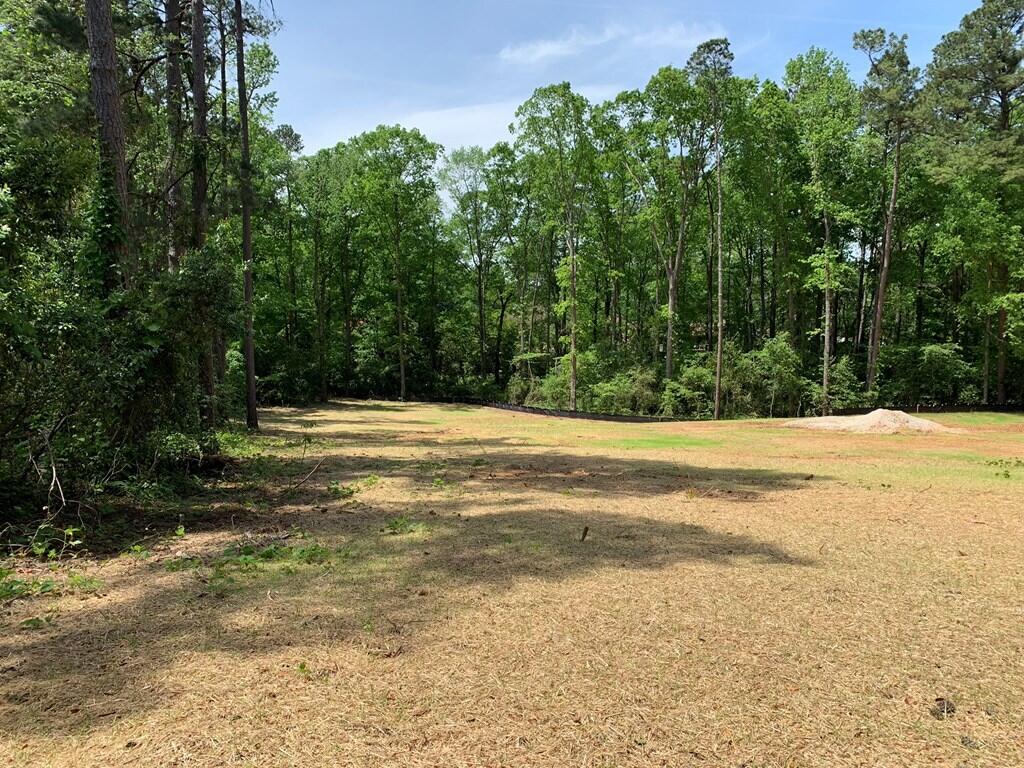 4418 Columbia Road Augusta, GA 30907 - Photo 4 of 5 468901_4